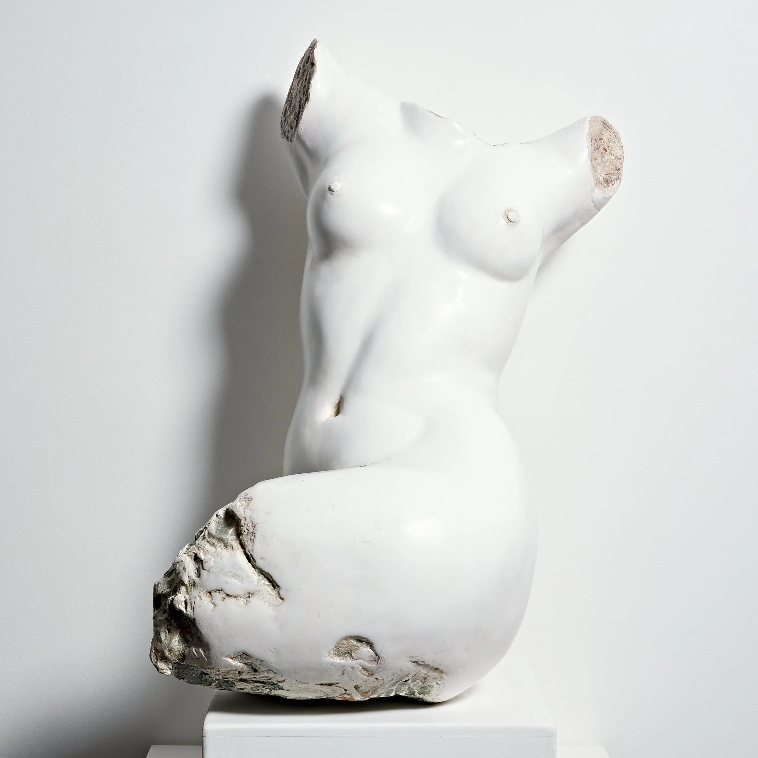 13-COULTER Dianne-01-Screen 2500px.jpg