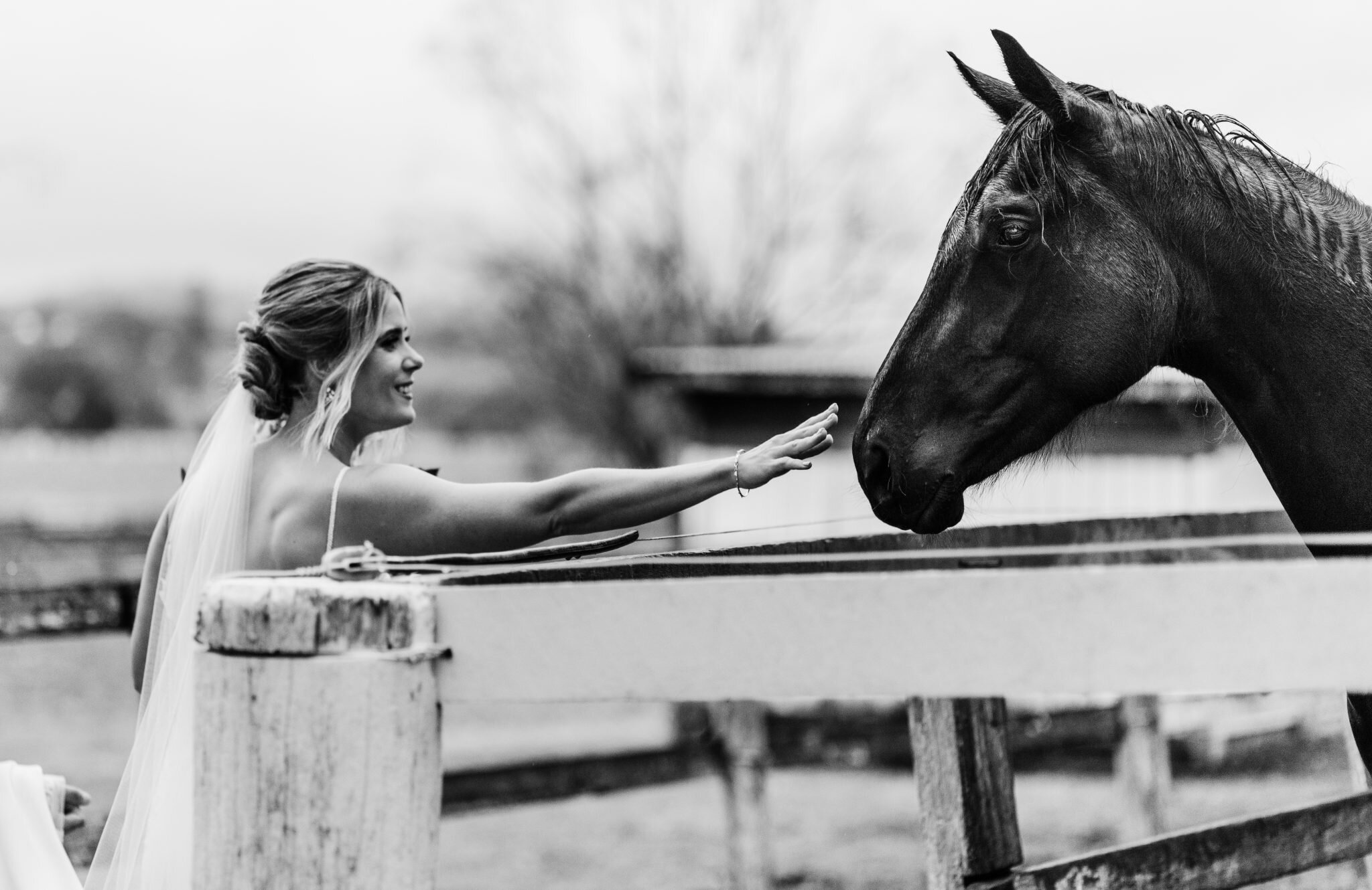 Wedding Photographer Gold Coast