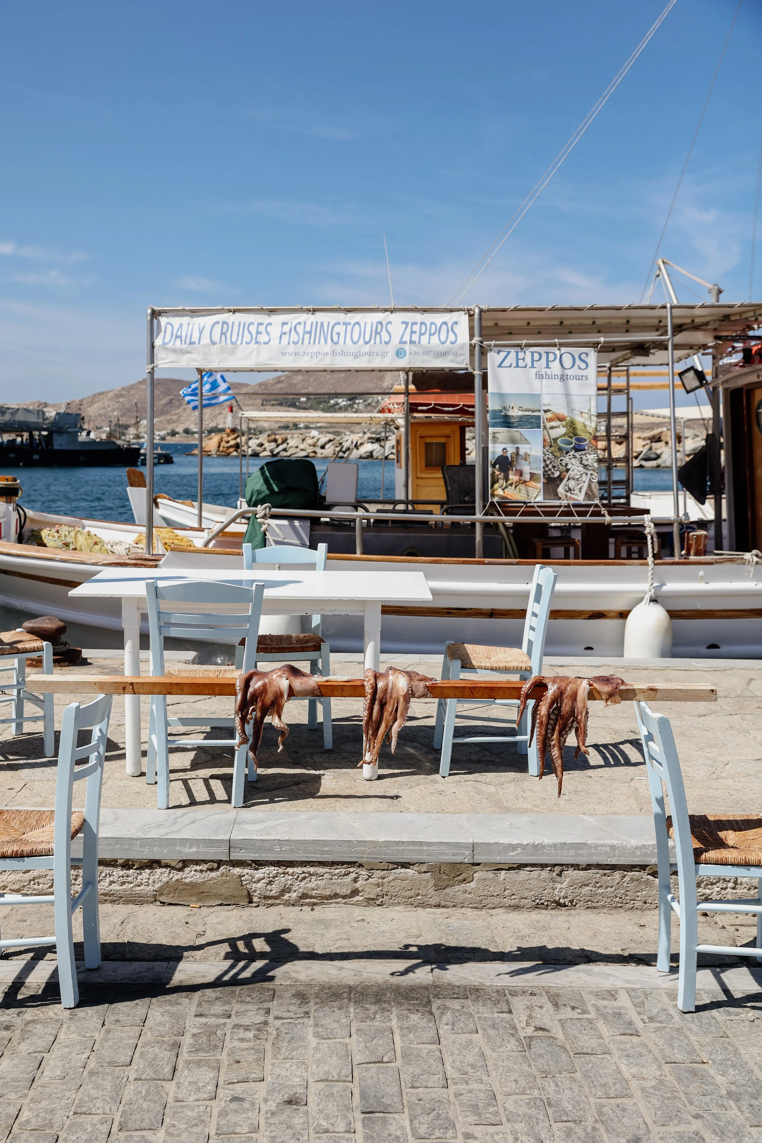 Sunbaking Squid, Paros