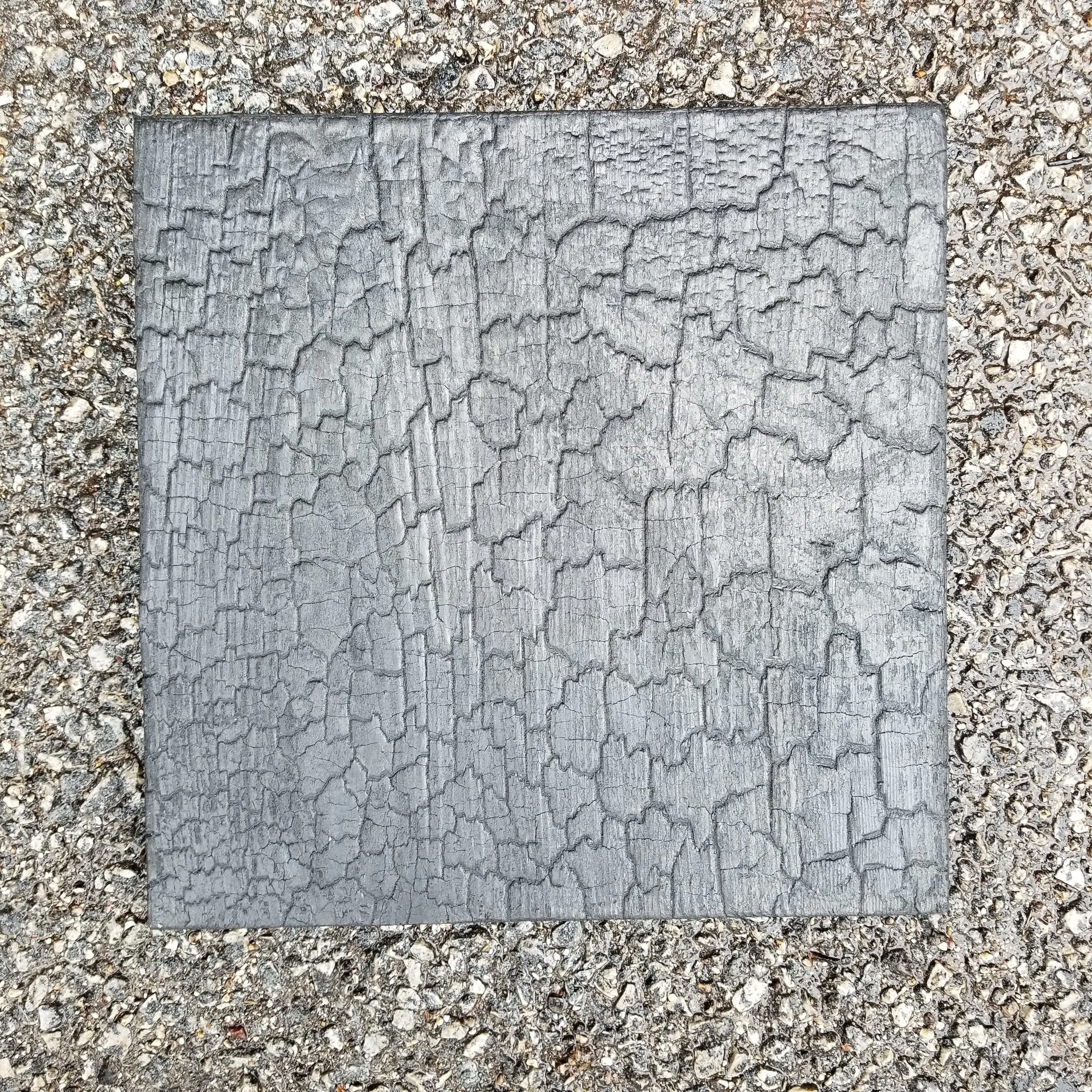 20180403_131740.jpg