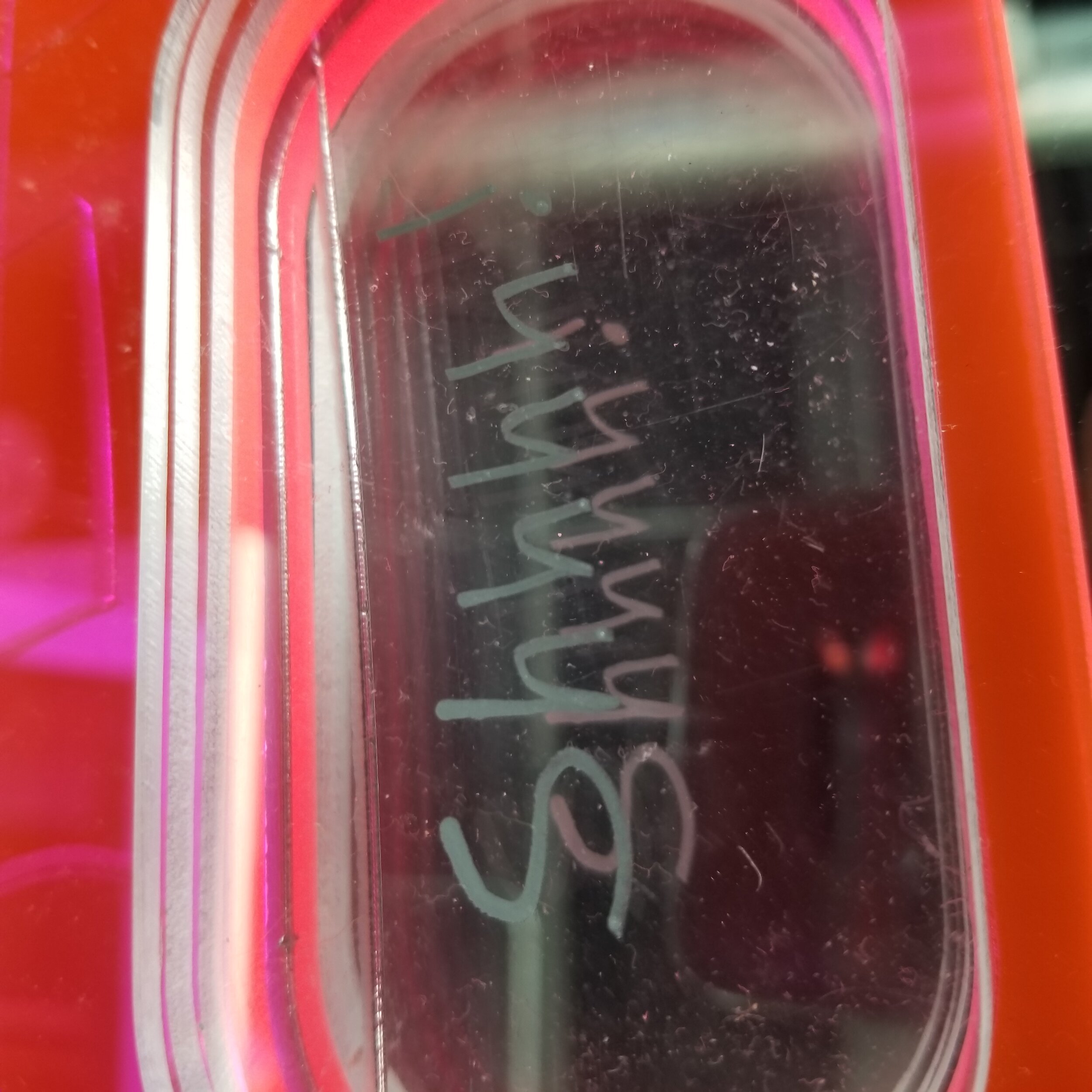 20180407_171203.jpg