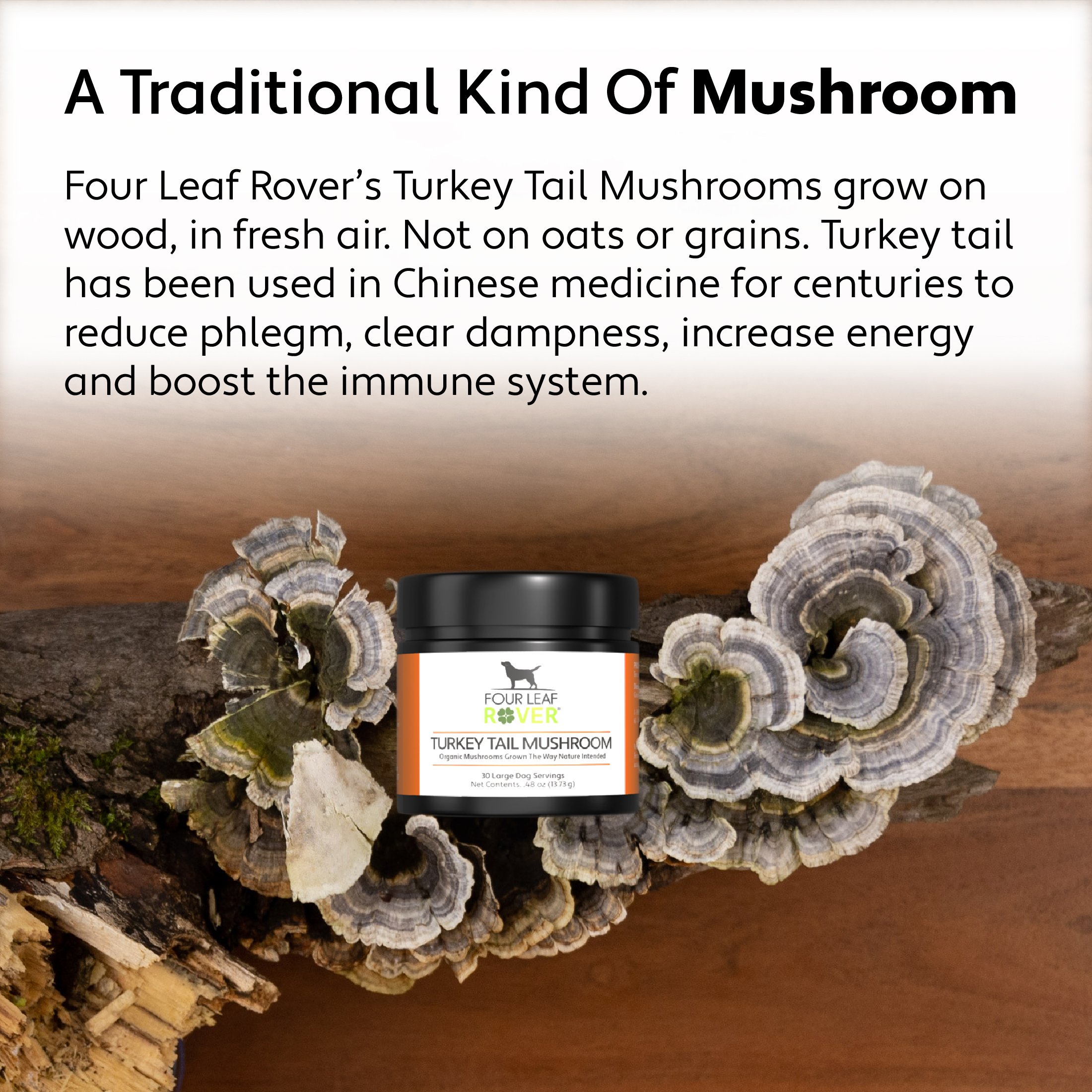 Wholesale Turkey Tail PBIs 4-90321.jpg