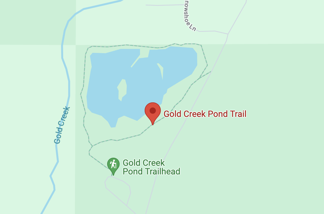 Community-Building Event: Gold Creek Pond Hike