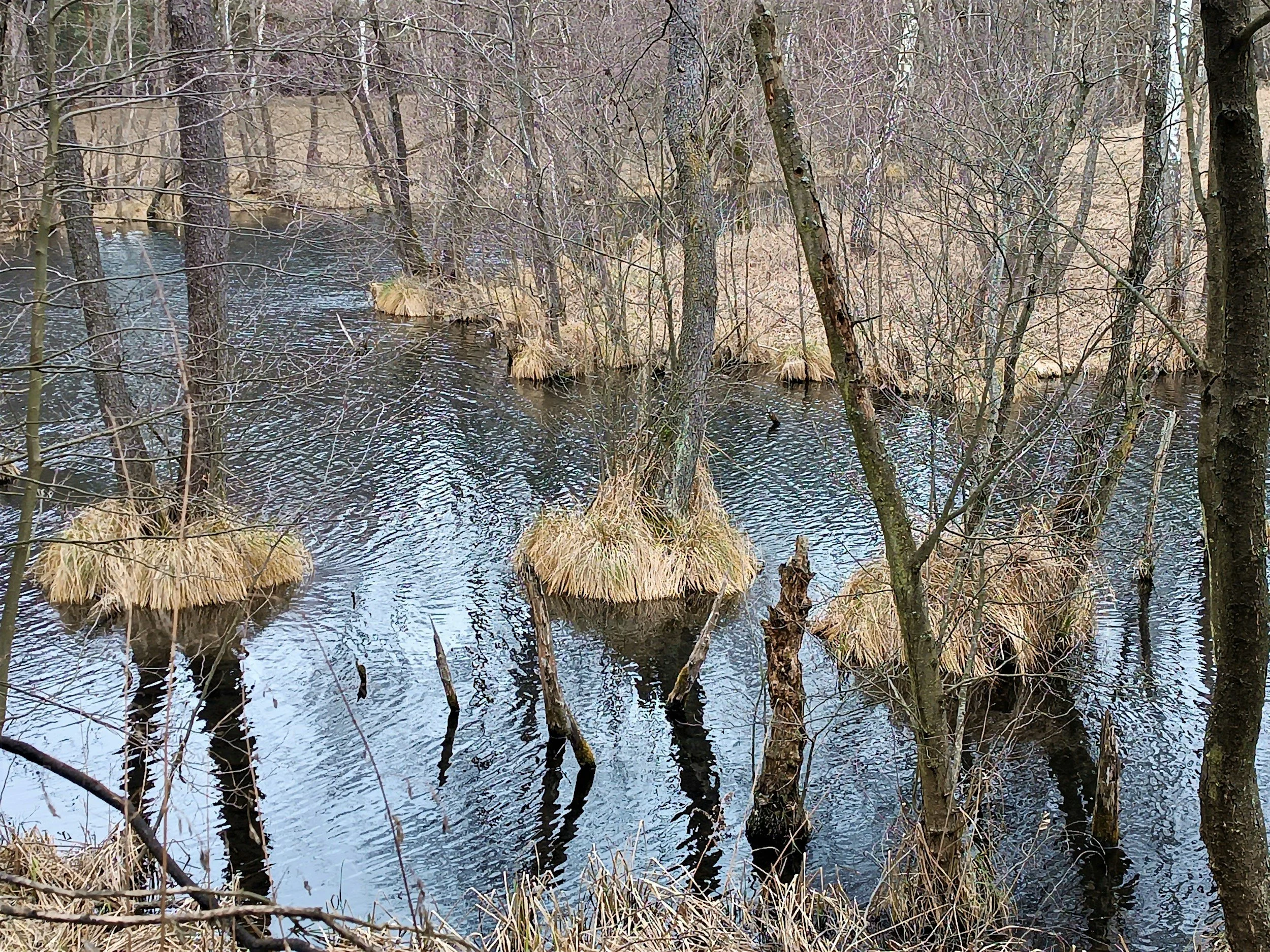 Learning Journey - Watershed Ecosystems (Elementaire and Grande Elementaire)
