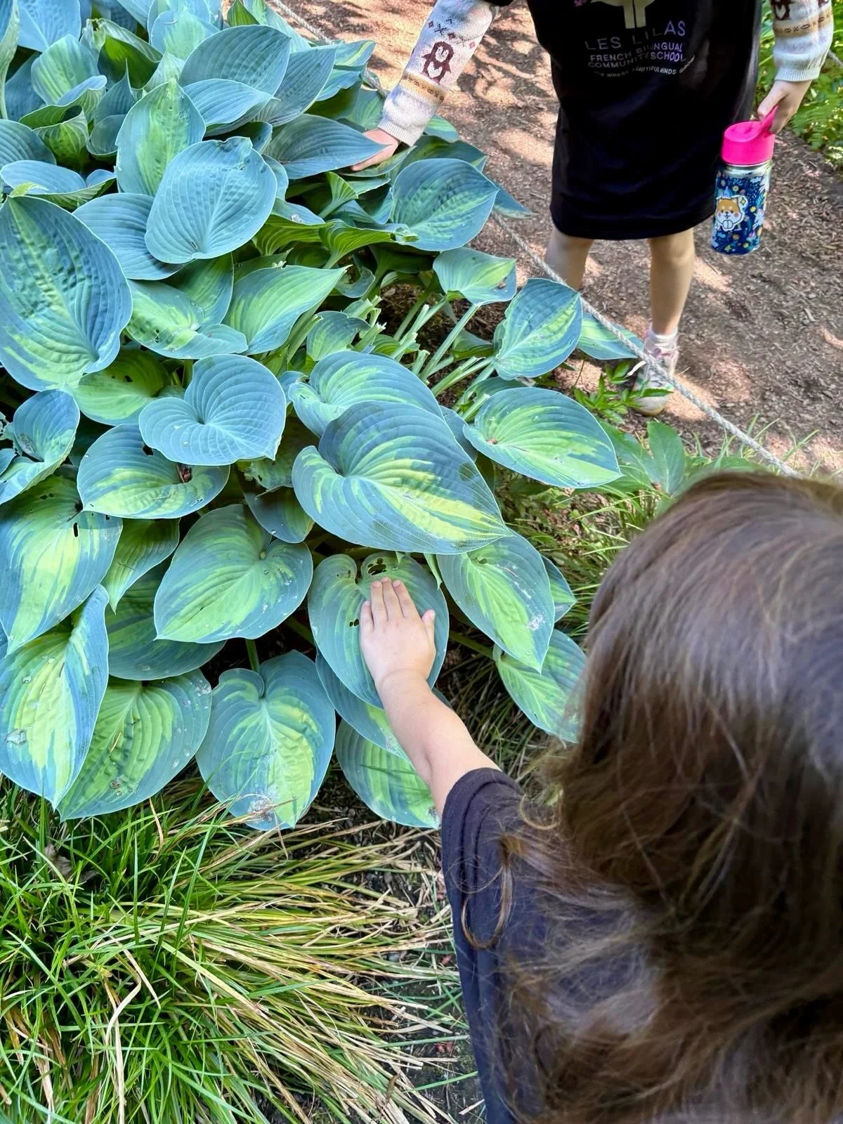Yesterday, our elementary students had their final Learning Journey at the beautiful Bellevue Botanical Garden. We spent the day exploring Pacific Northwest plants and flowers, spotting birds, walking the trails, and simply enjoying time together out