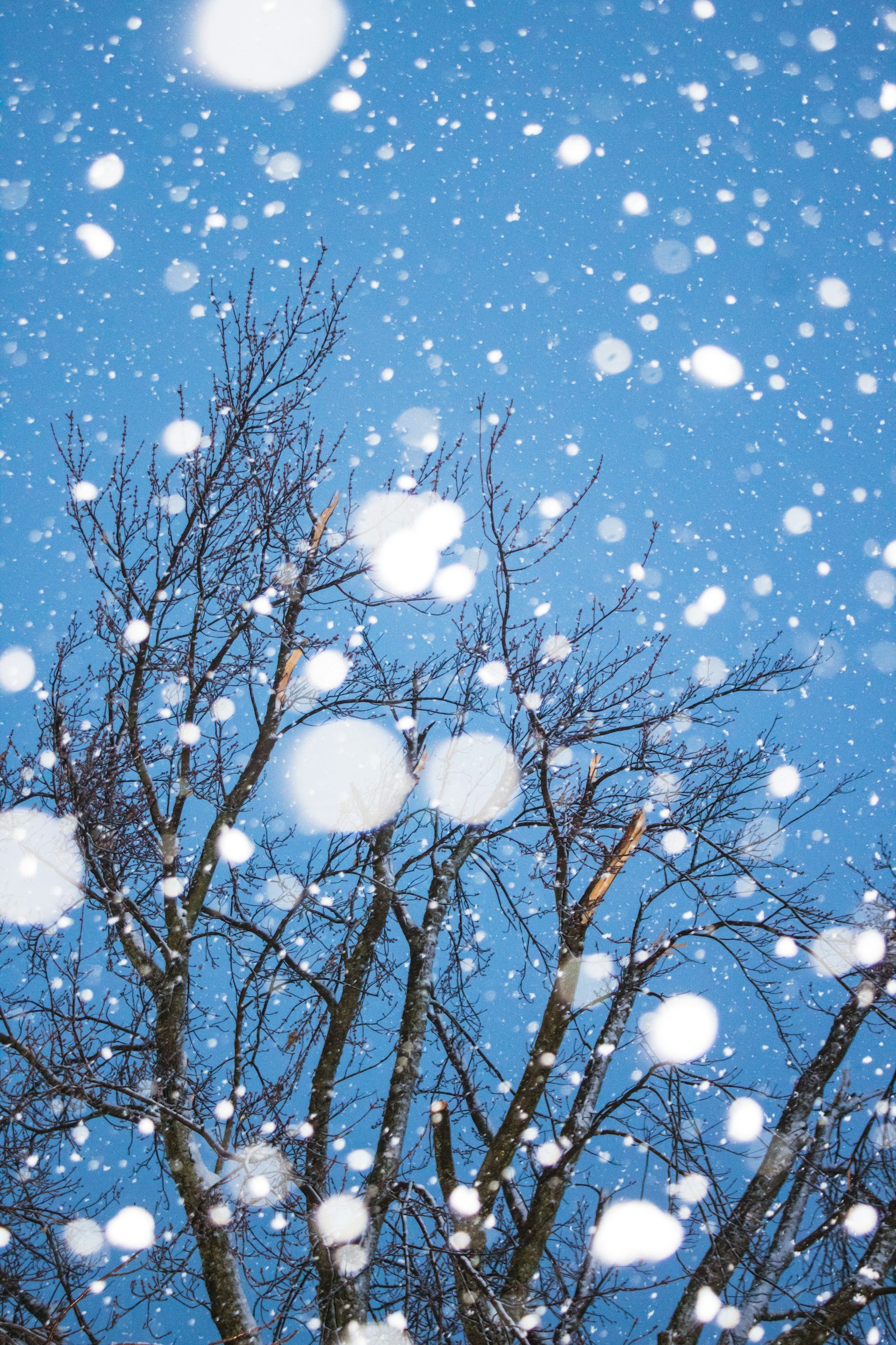 No School – Mid-Winter Break (Camp Available)