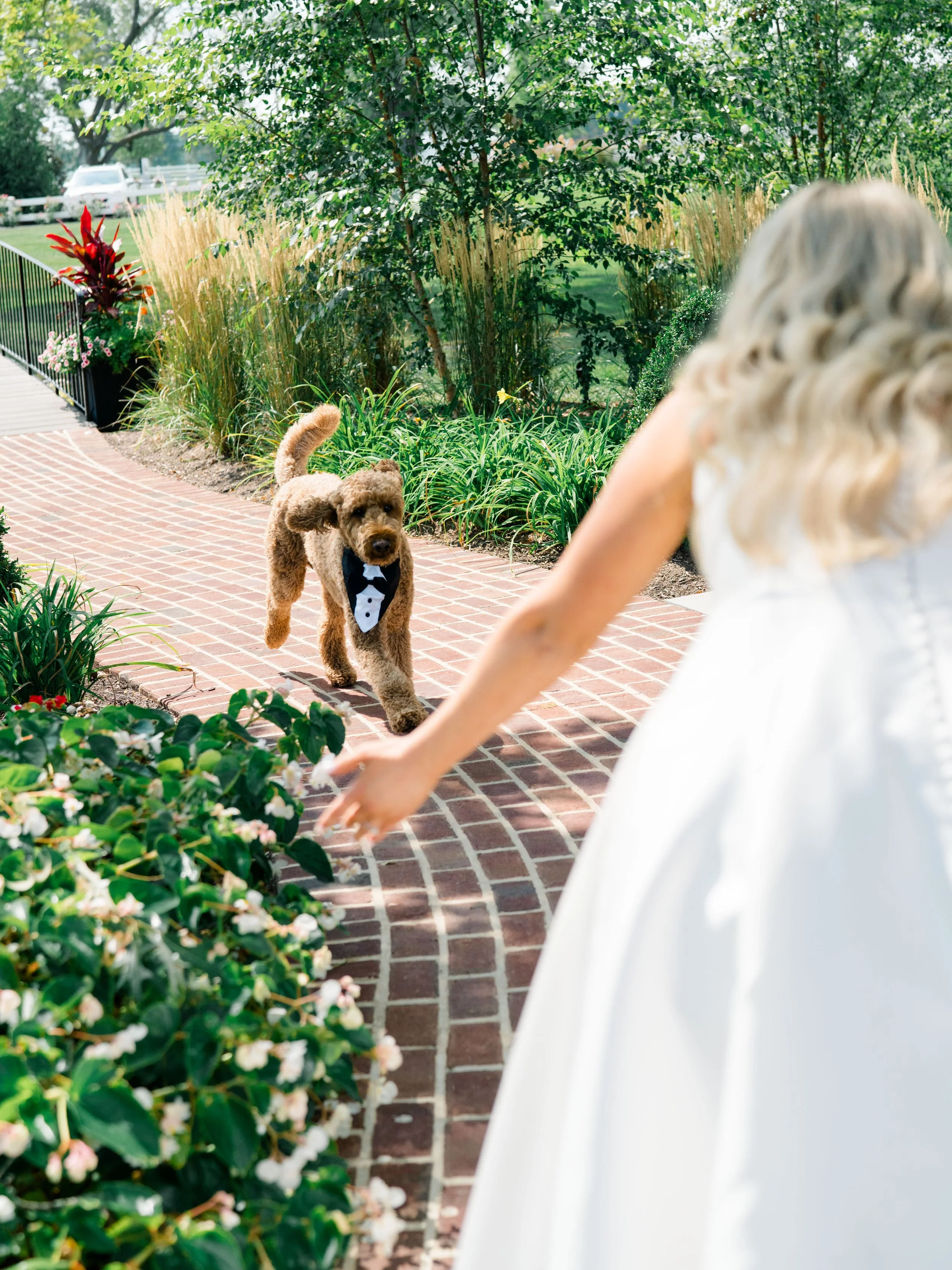 Claire_Bobby_CourtneyLindenPhotography_0371.jpg