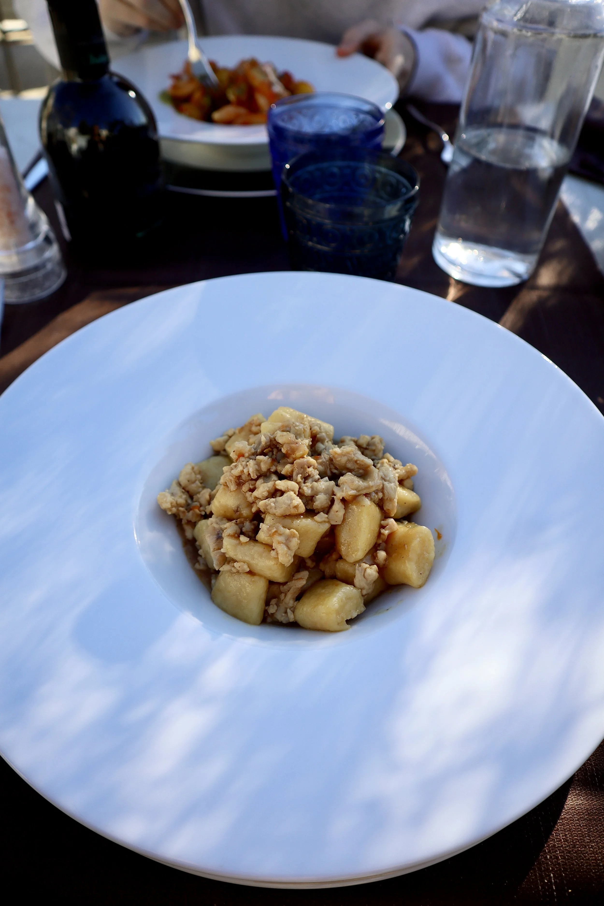 rabbit ragout.JPG