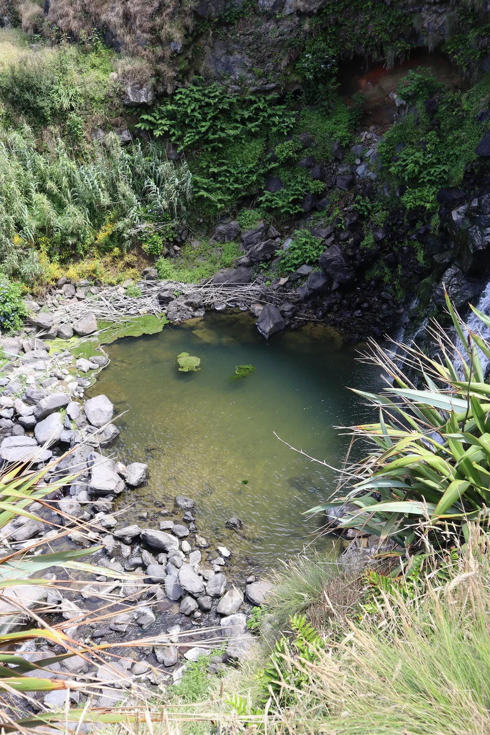 waterfall pool.JPG