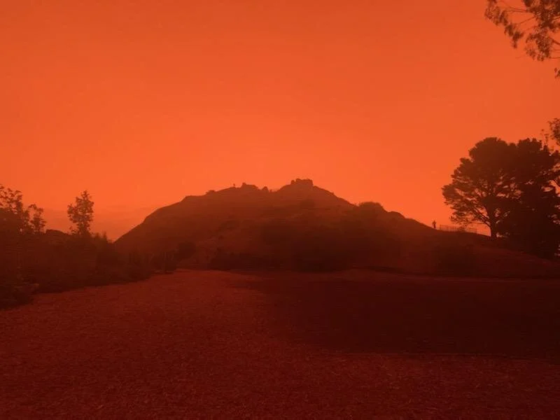 photo by Neesha Wadhwa