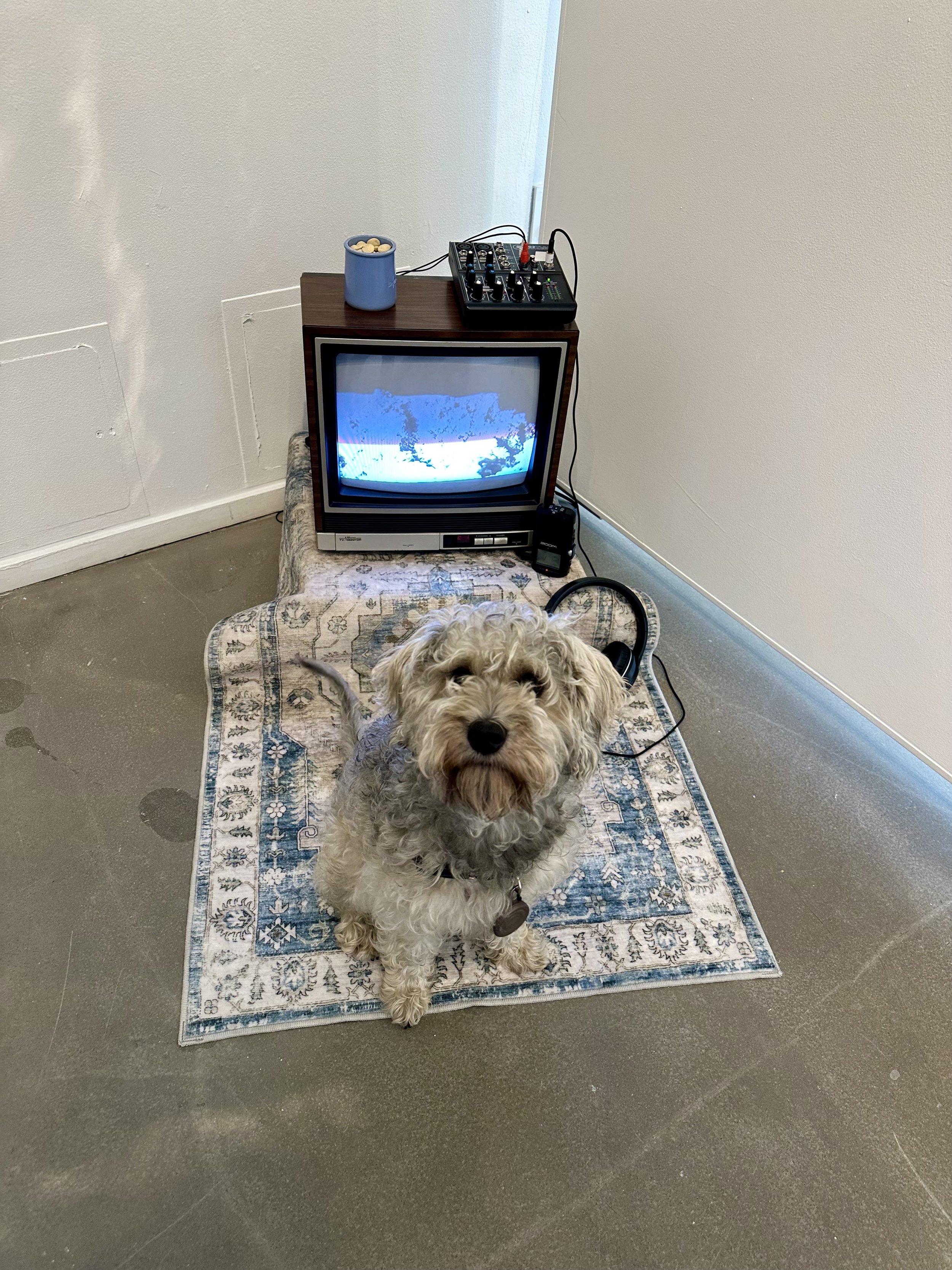 IMG_3014.jpeg