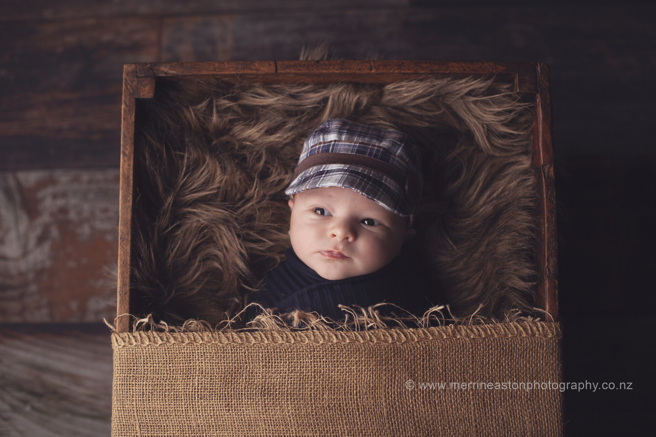 IMG_6709-EditFB.jpg