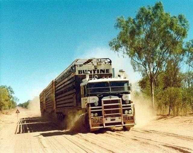 Peter (Lizard) Williams The Power and the Glory