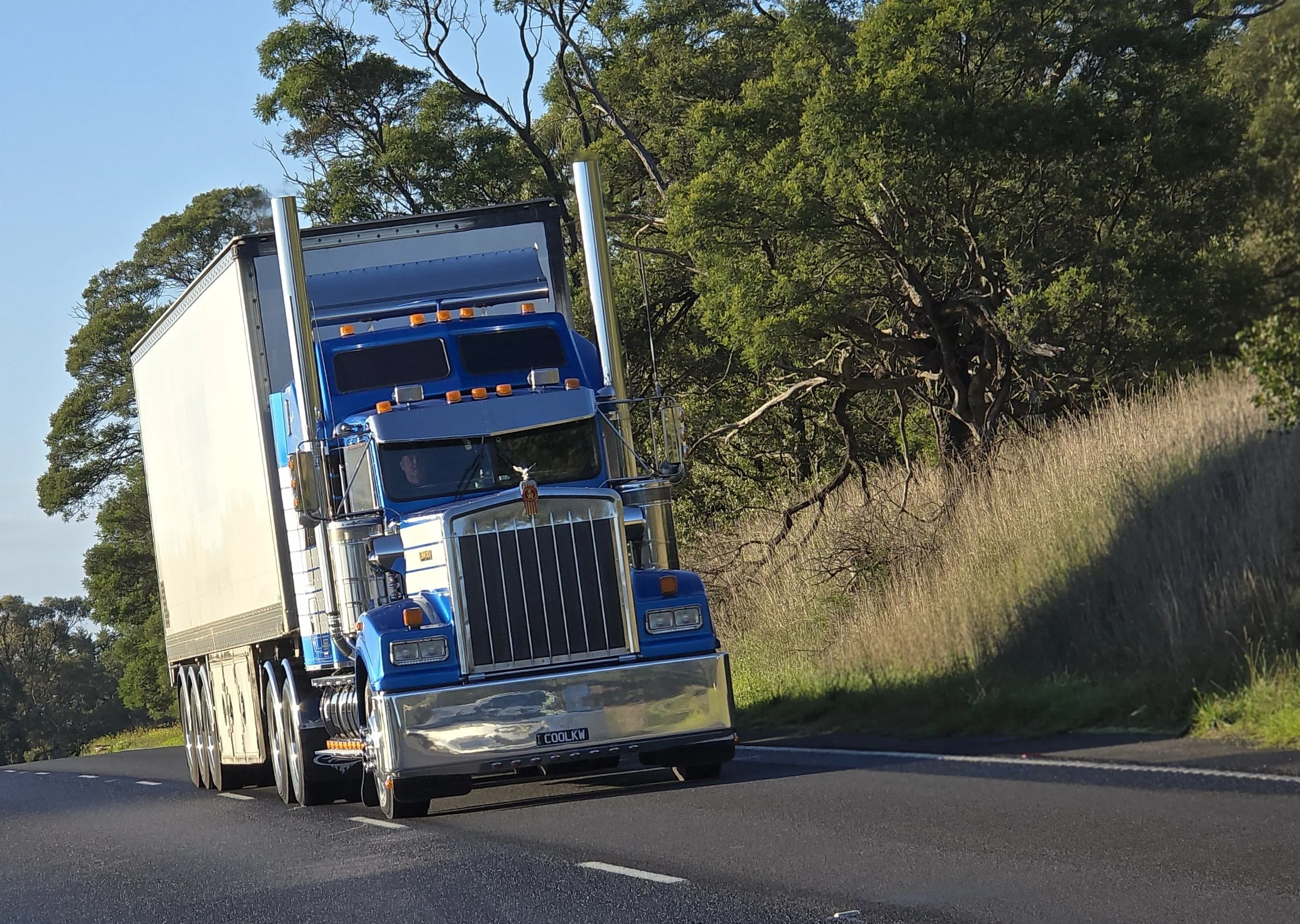 Crawlin 2 - (24).jpg