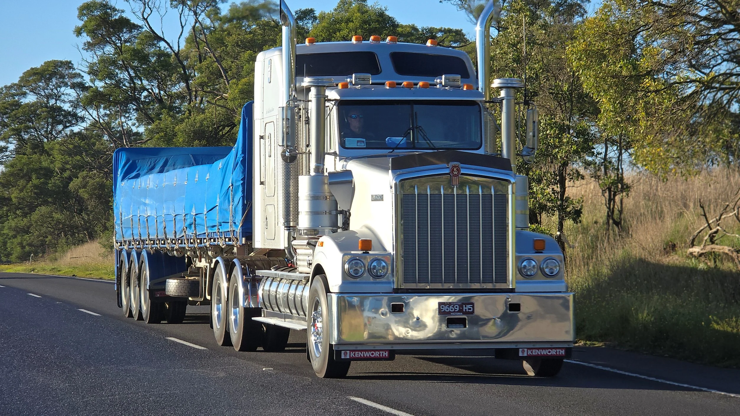 Crawlin 2 - (27).jpg