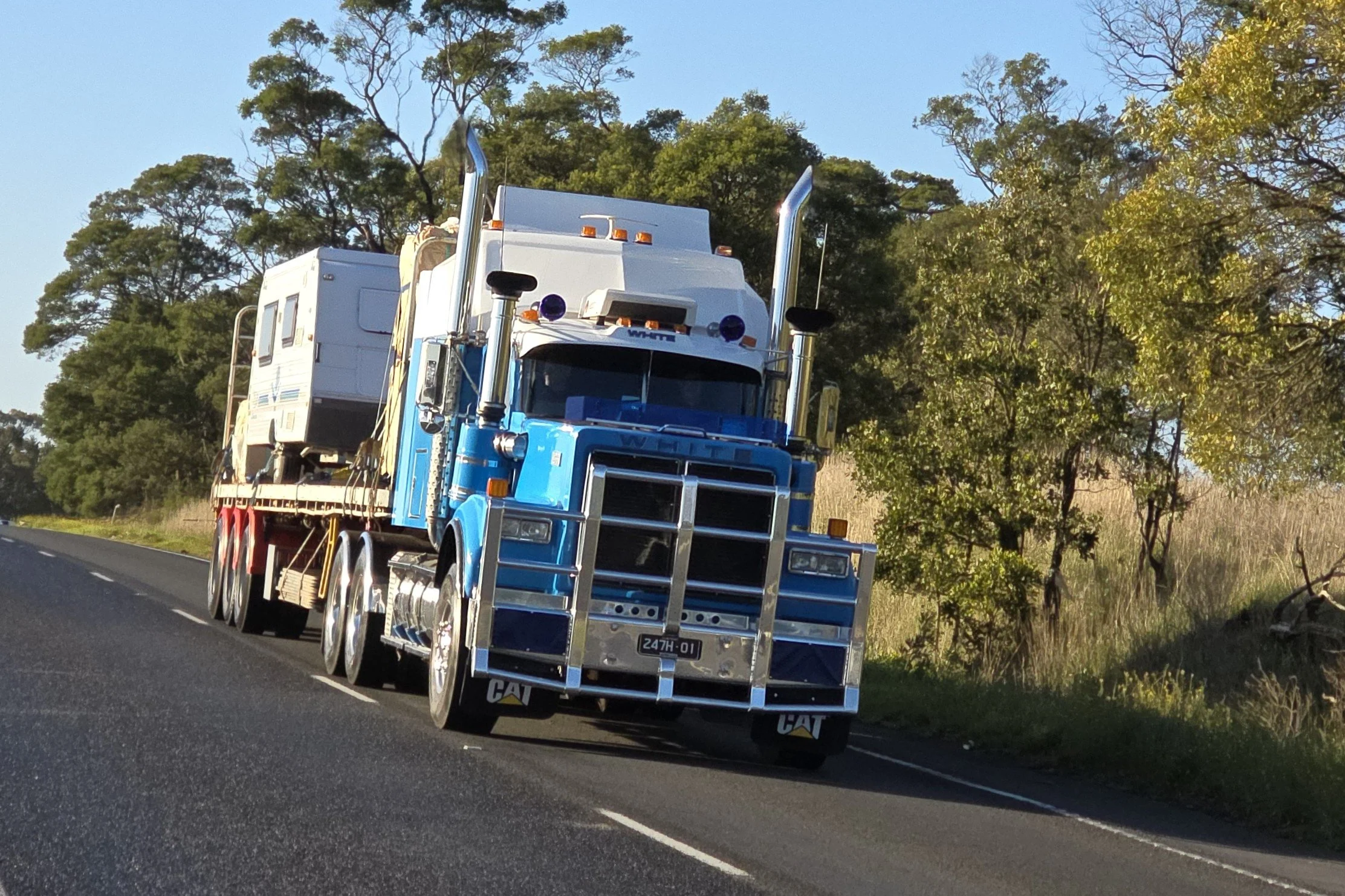 Crawlin 2 - (30).jpg