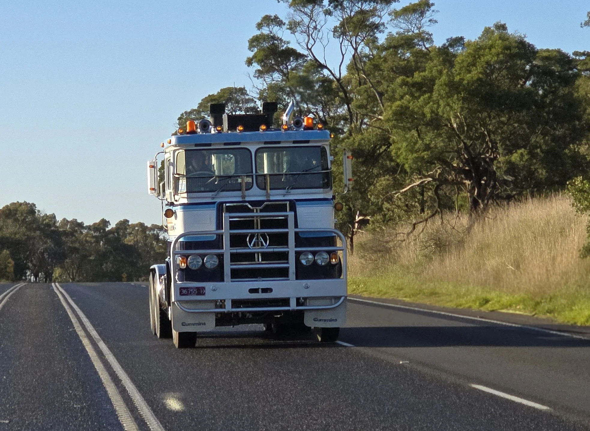 Crawlin 2 - (31).jpg