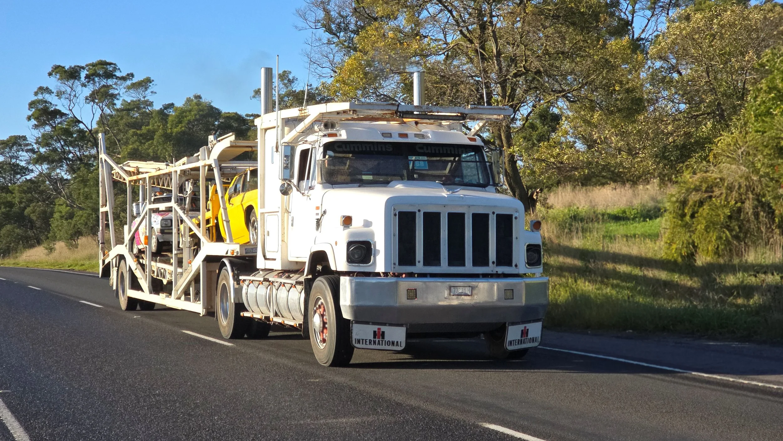 Crawlin 2 - (38).jpg