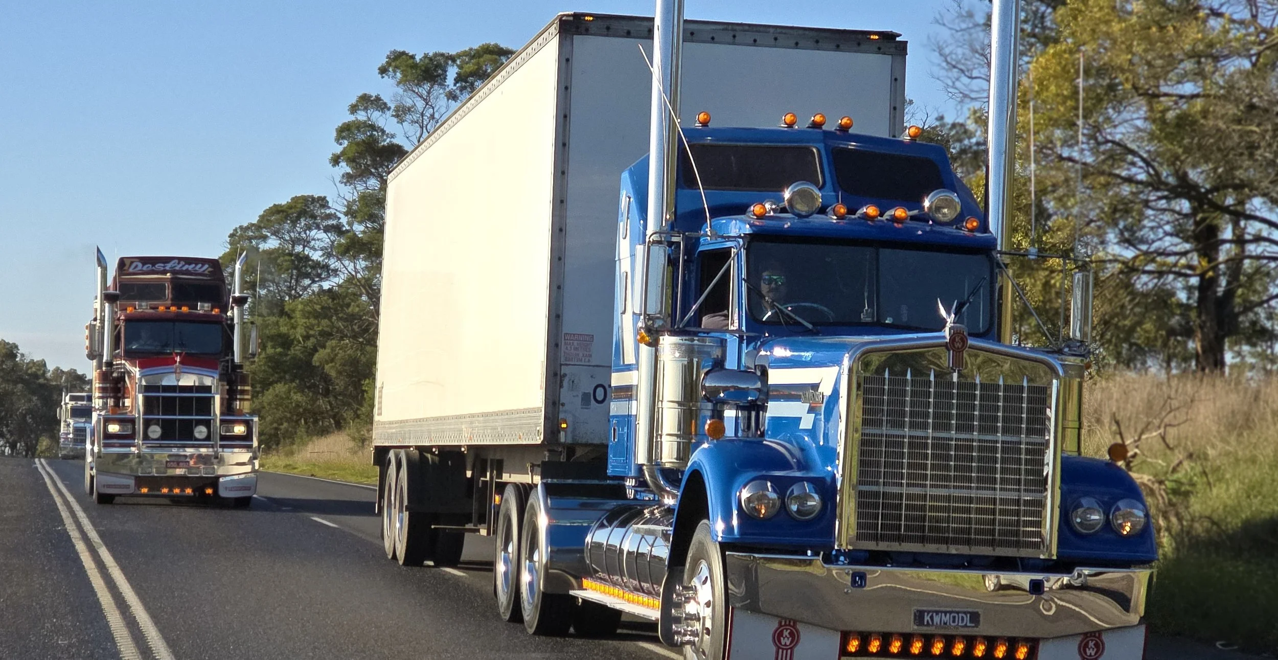 Crawlin 2 - (44).jpg