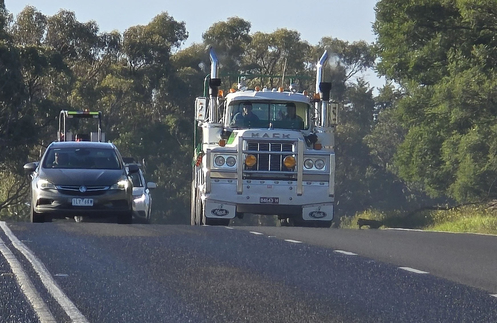 Crawlin 2 - (48).jpg