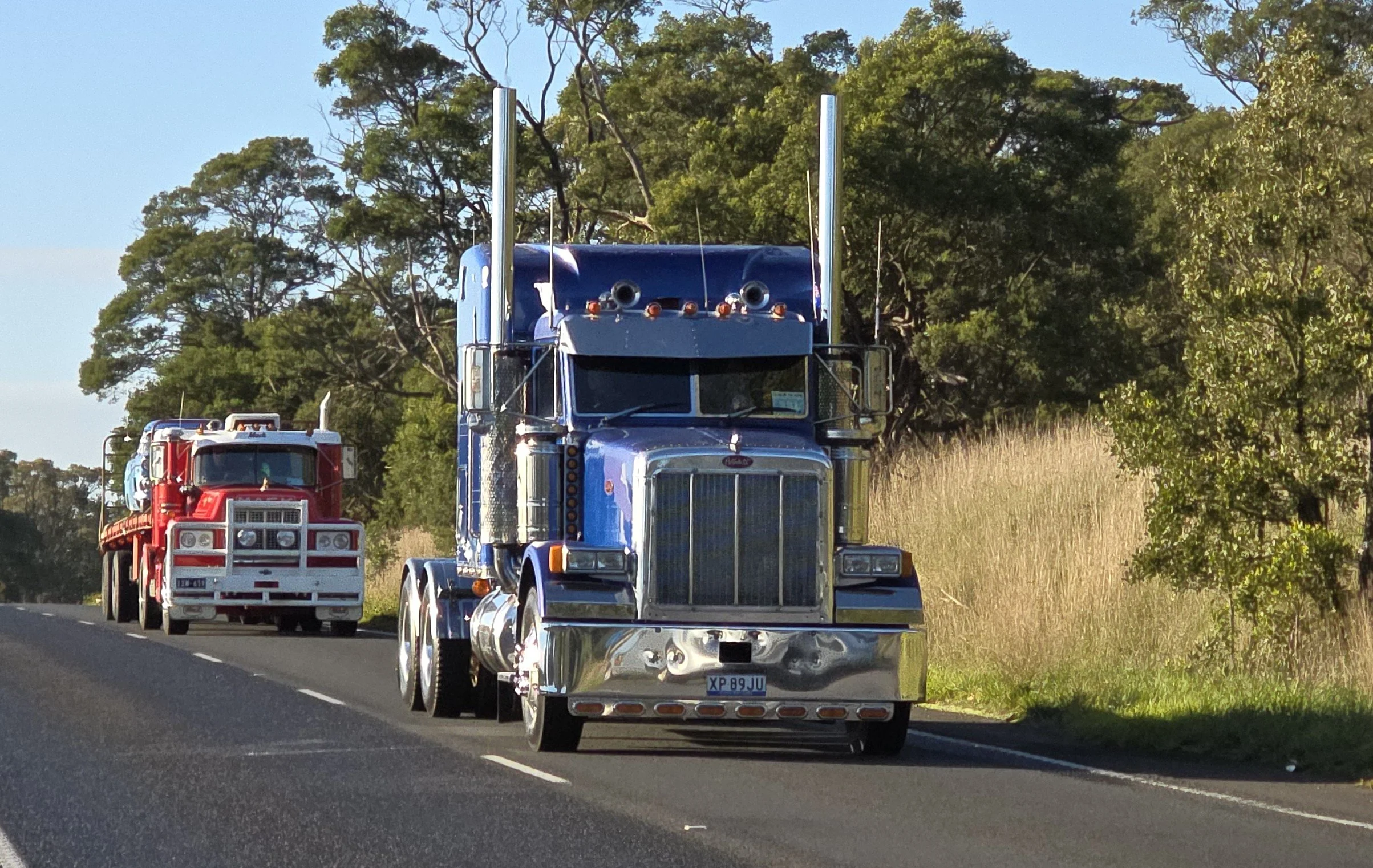 Crawlin 2 - (55).jpg