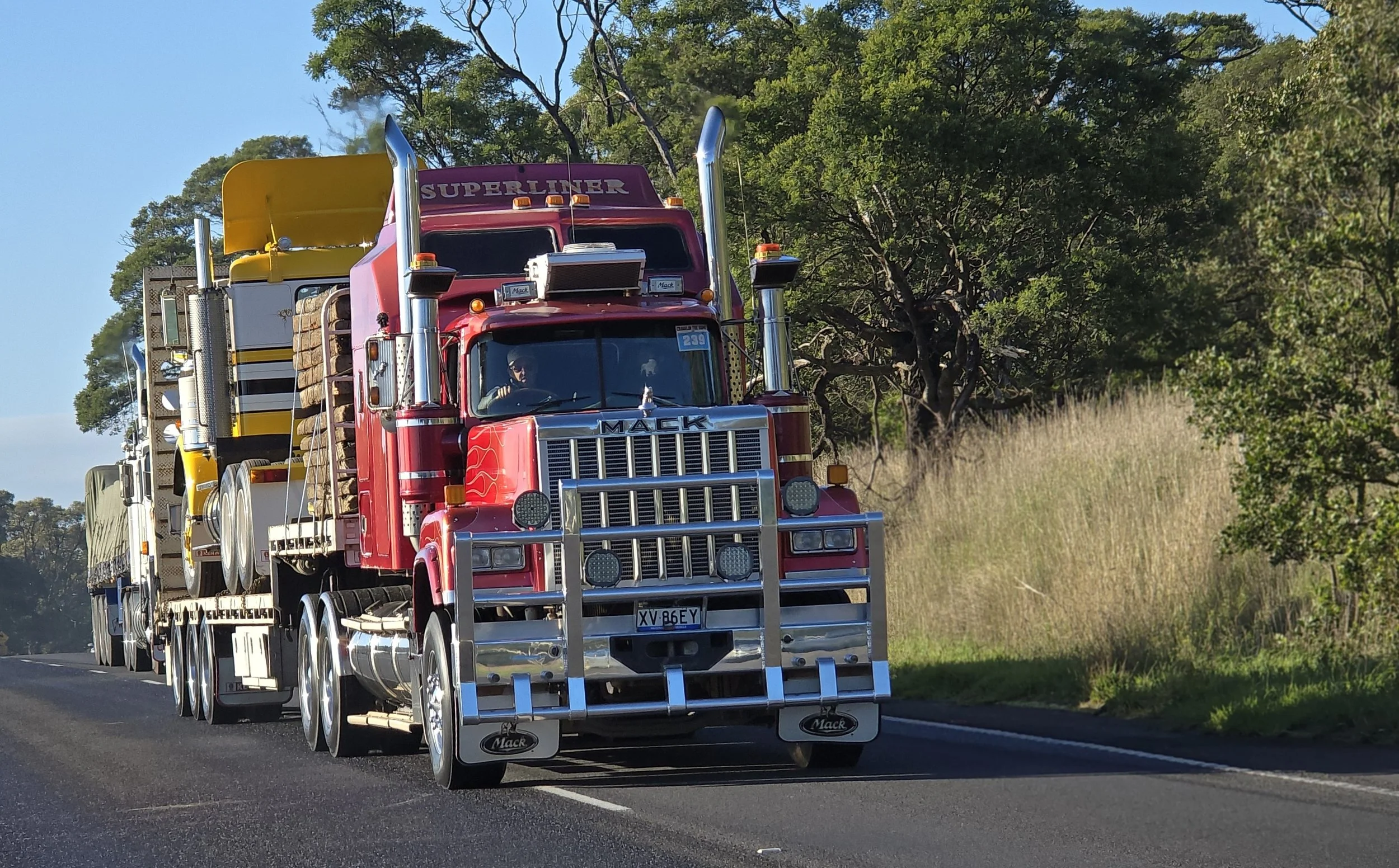 Crawlin 2 - (66).jpg