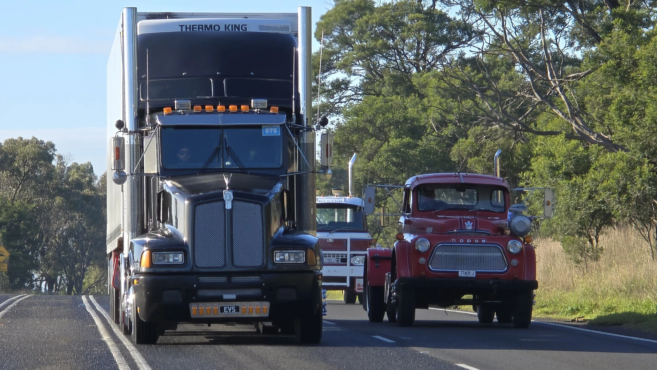 Crawlin 2 - (69).jpg