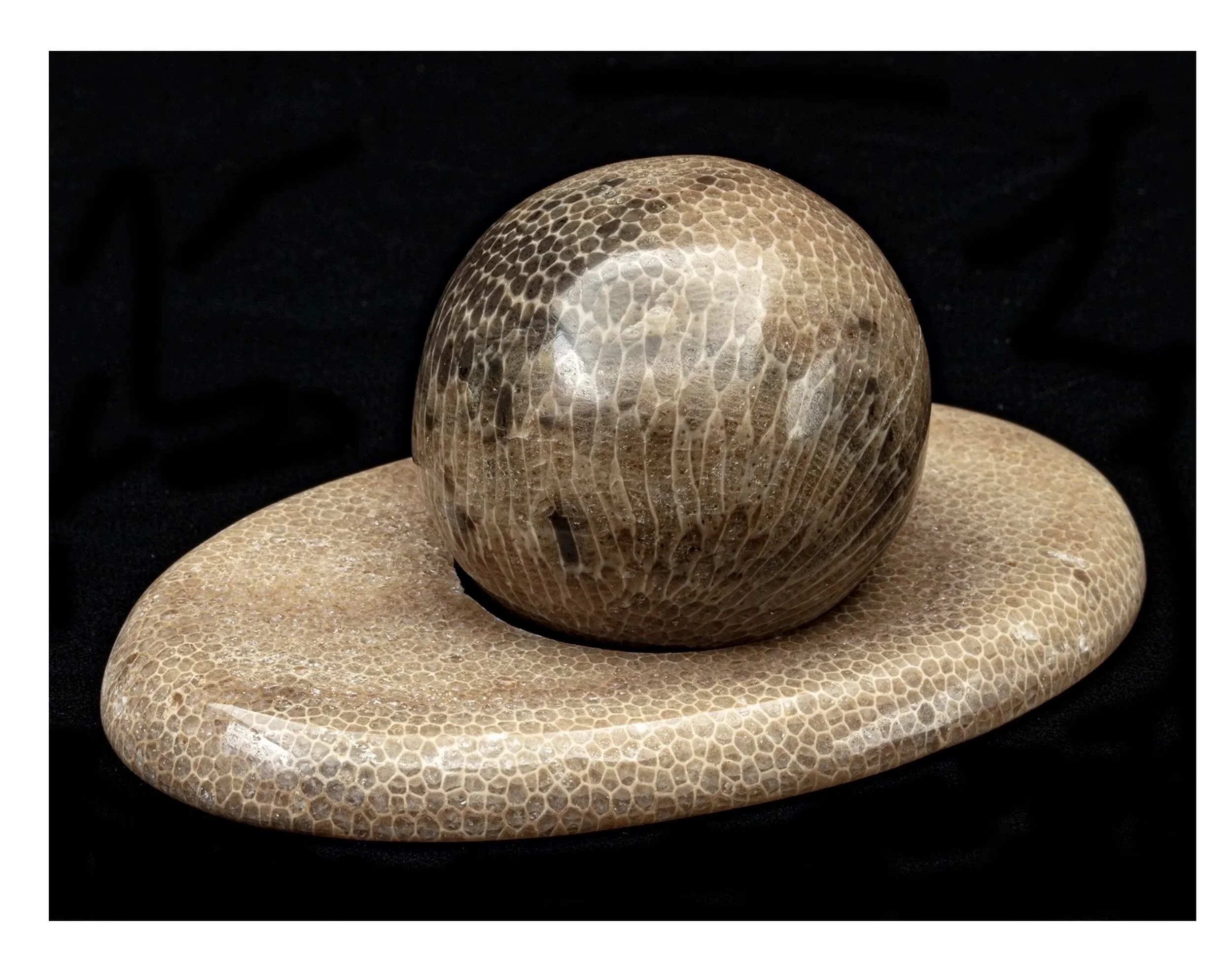 This is Favosite, also called Charlevoix Stone, another fossilized colony coral from the Devonian Age
