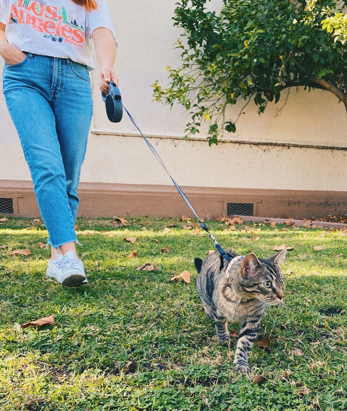 2021 goal: more outside time