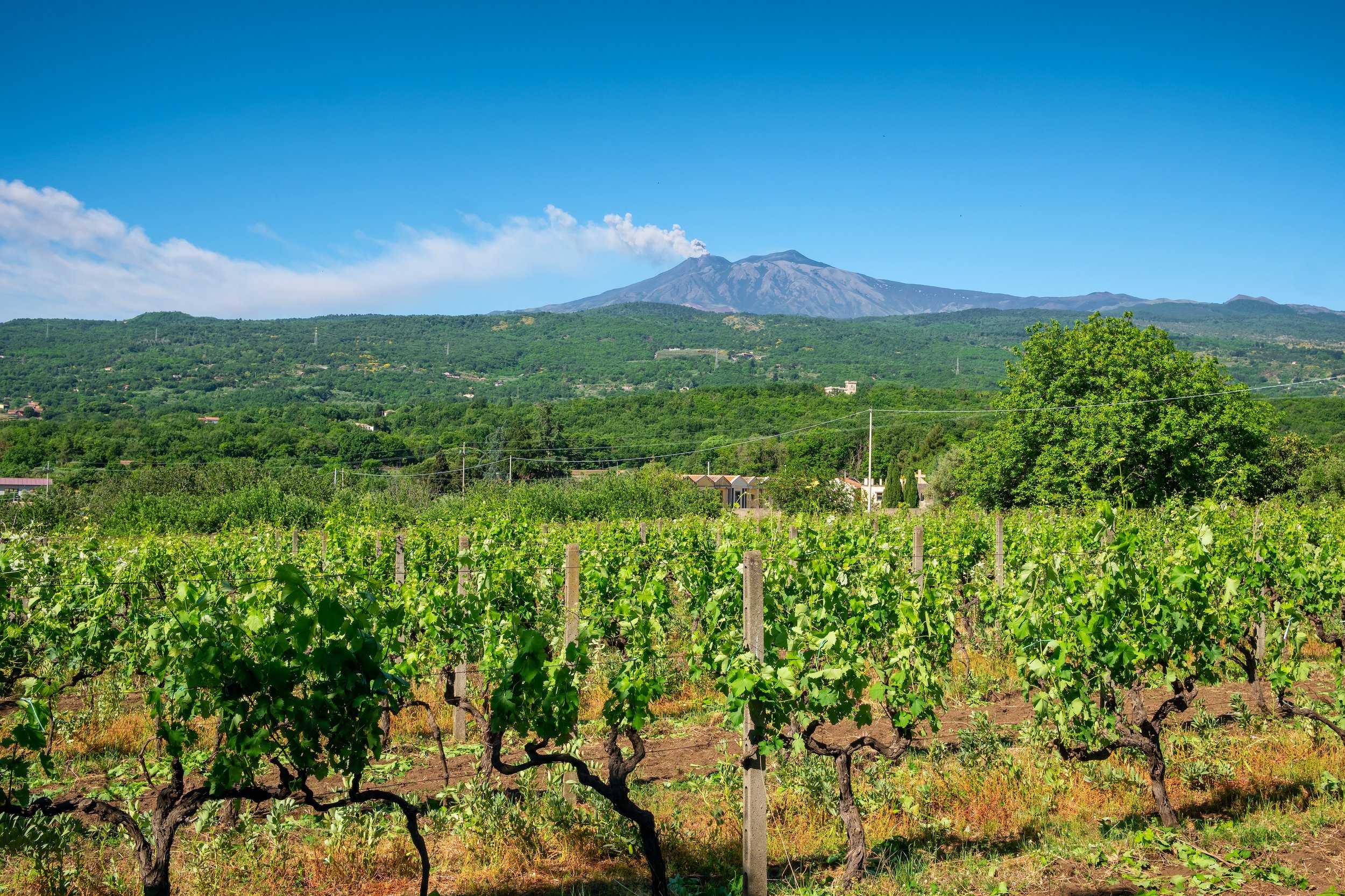 AdobeStock_434155633 (1).jpeg