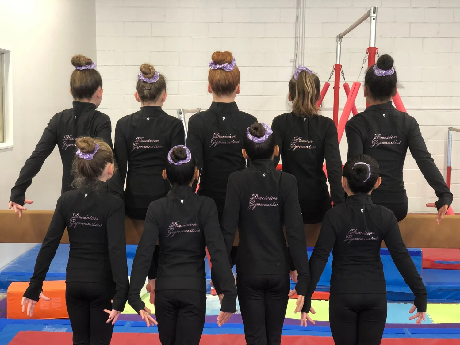 Precision Gymnastics