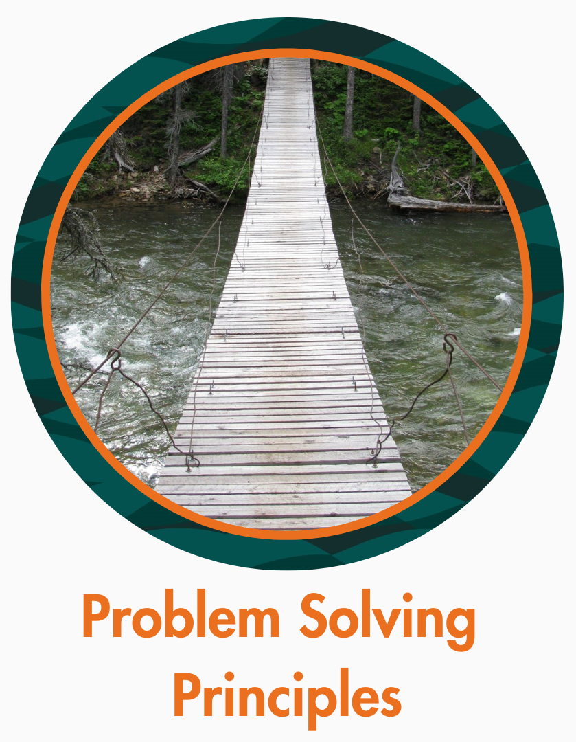 Problem Solving Principles