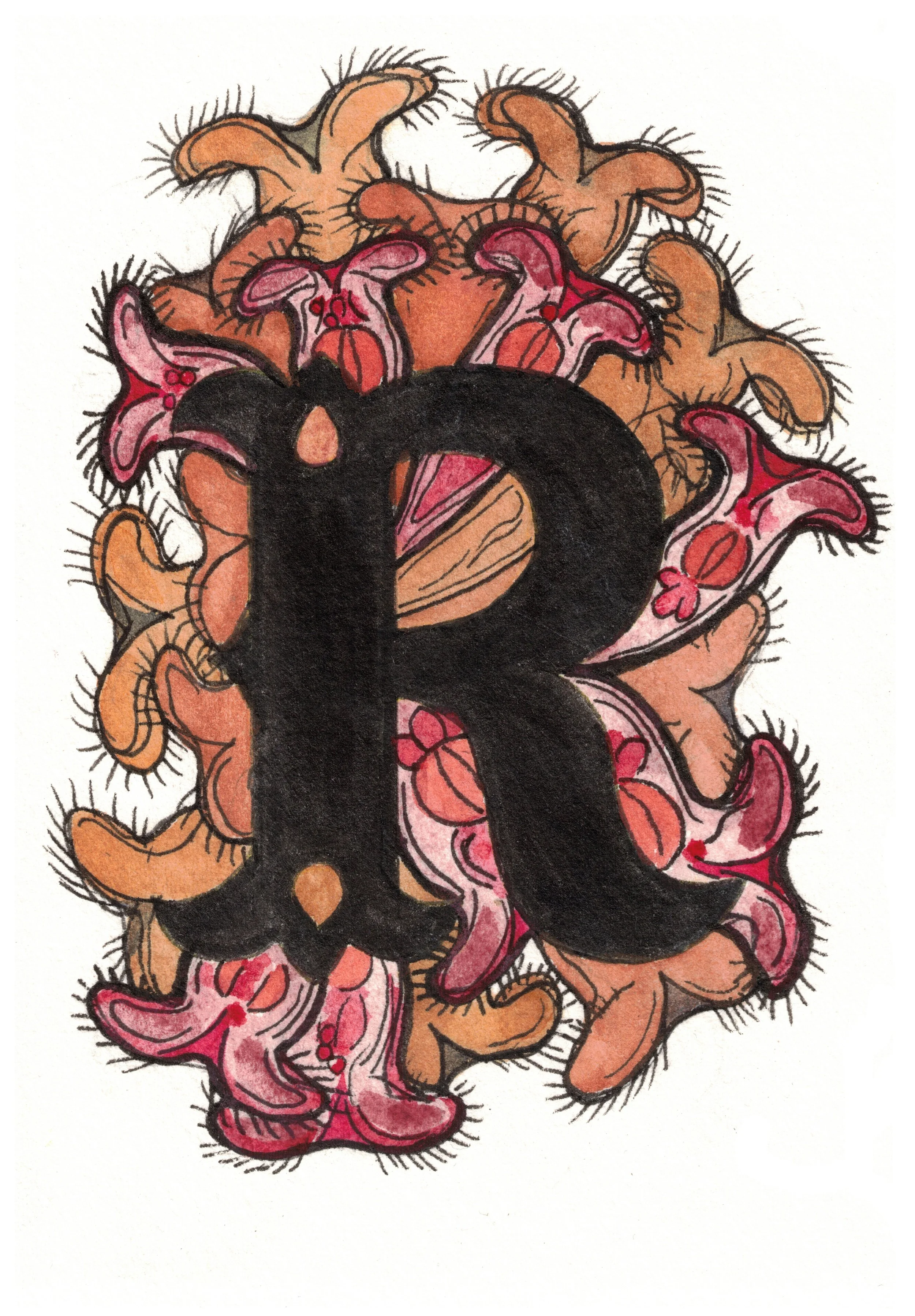 R is for Rotifer