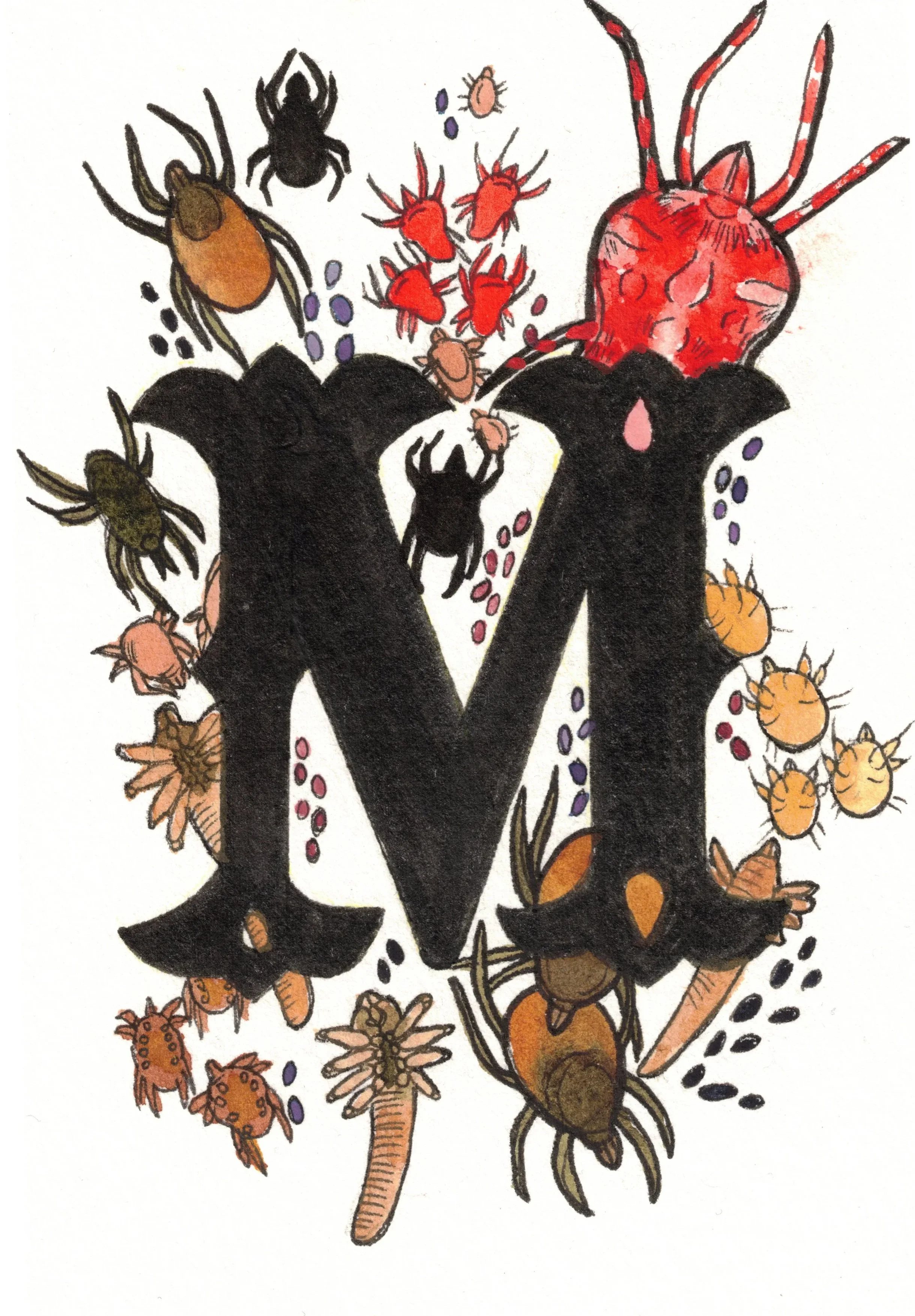 M is for Mite