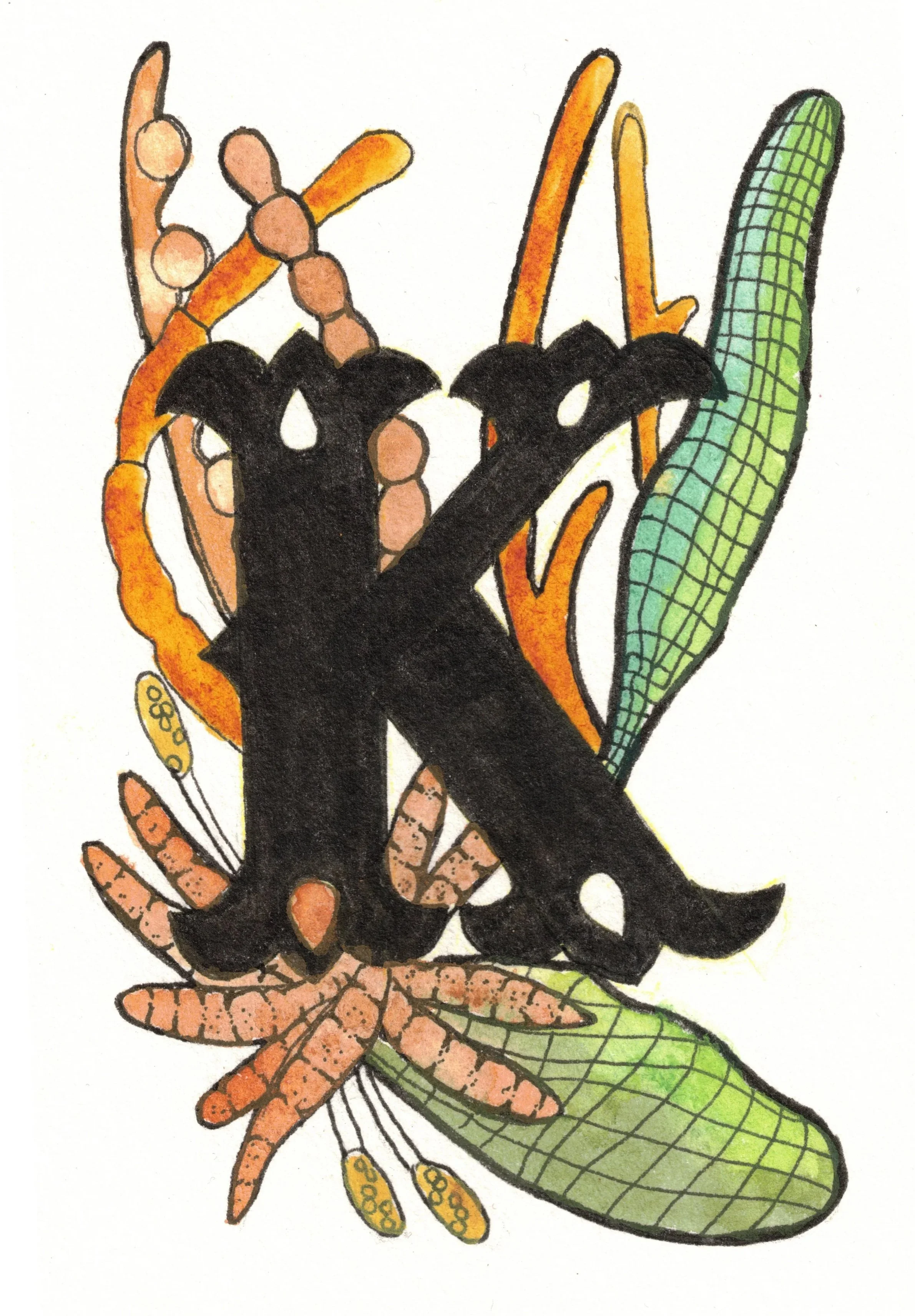 K is for Kelp