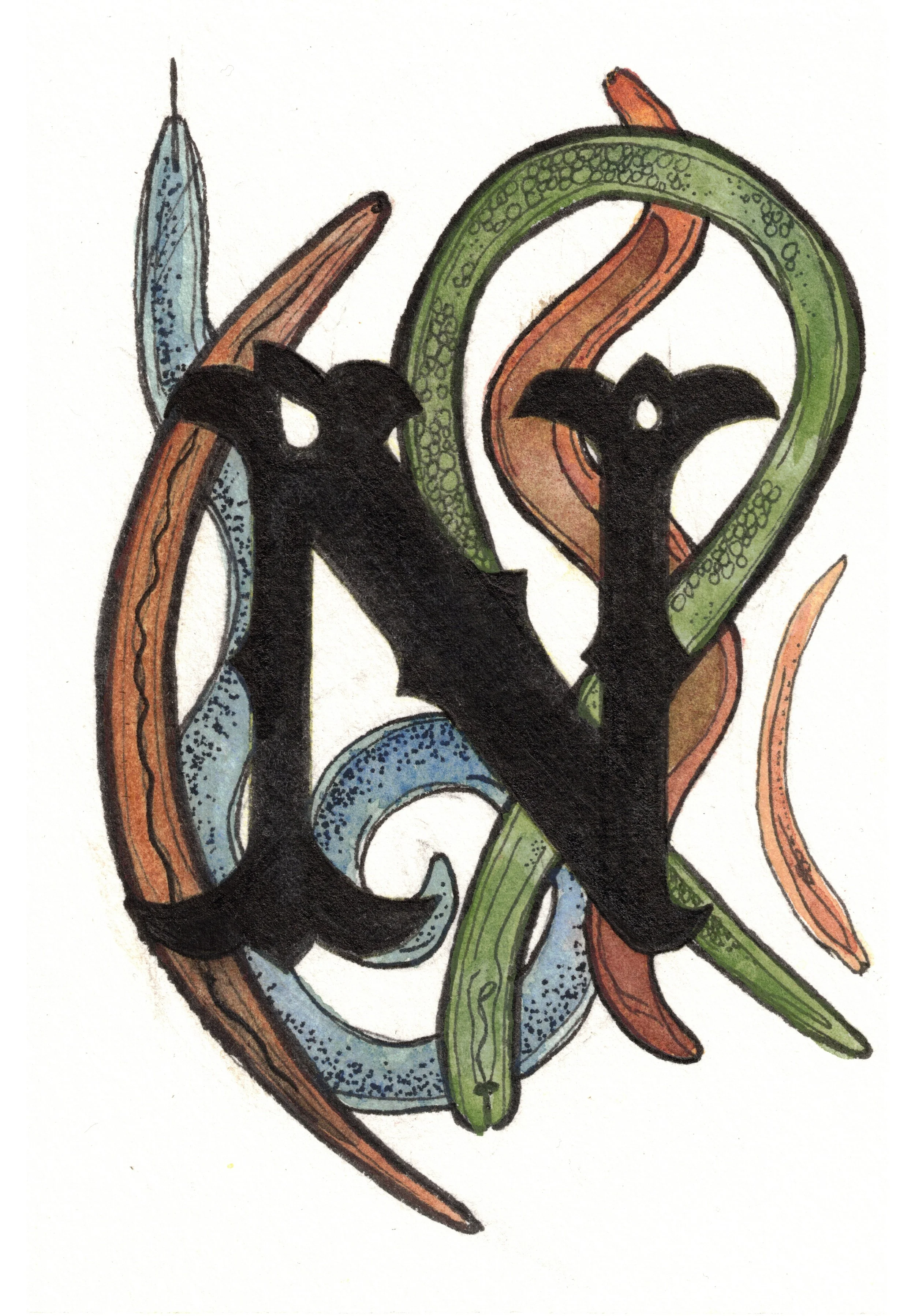N is for Nematode
