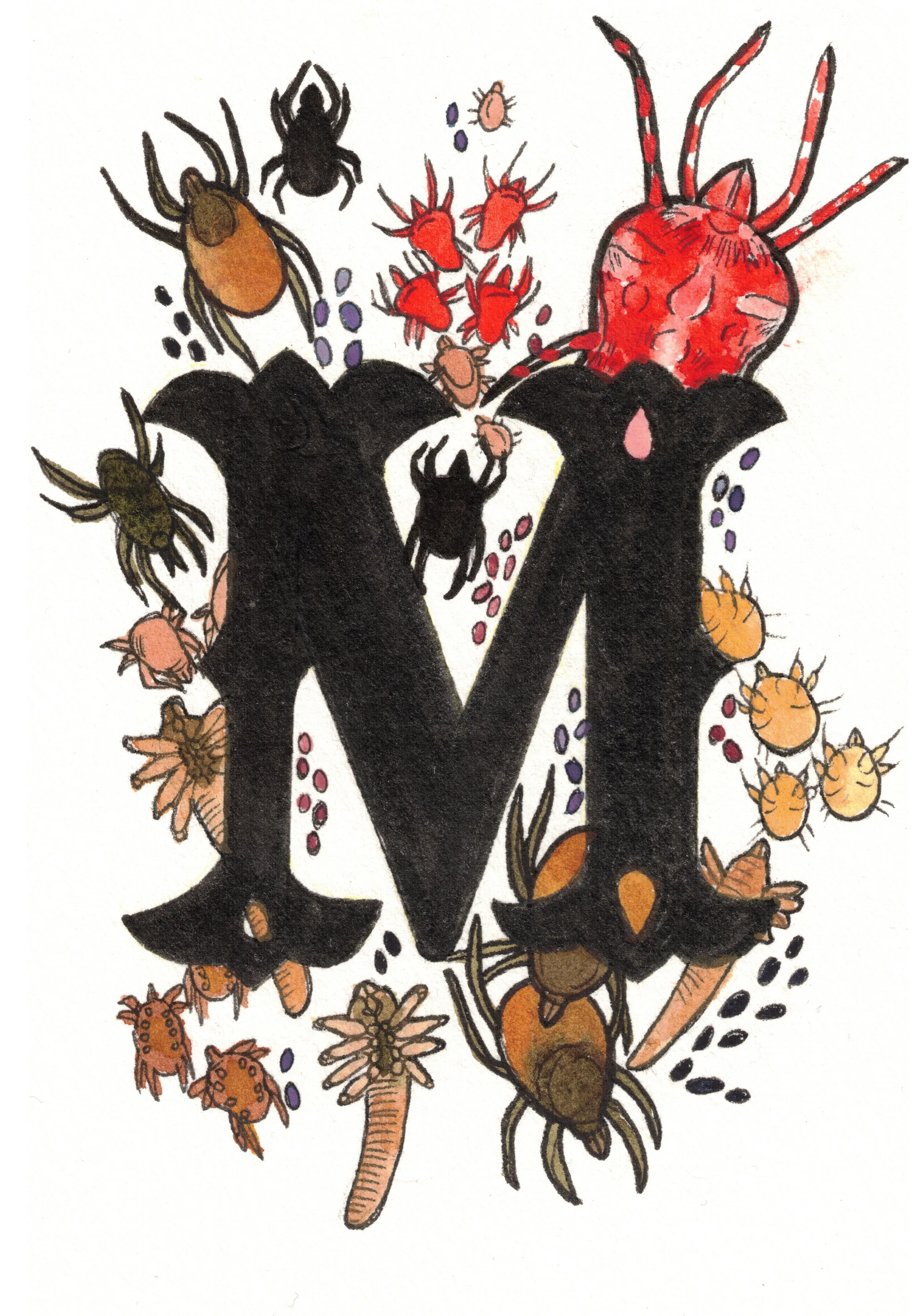 M is for Mite