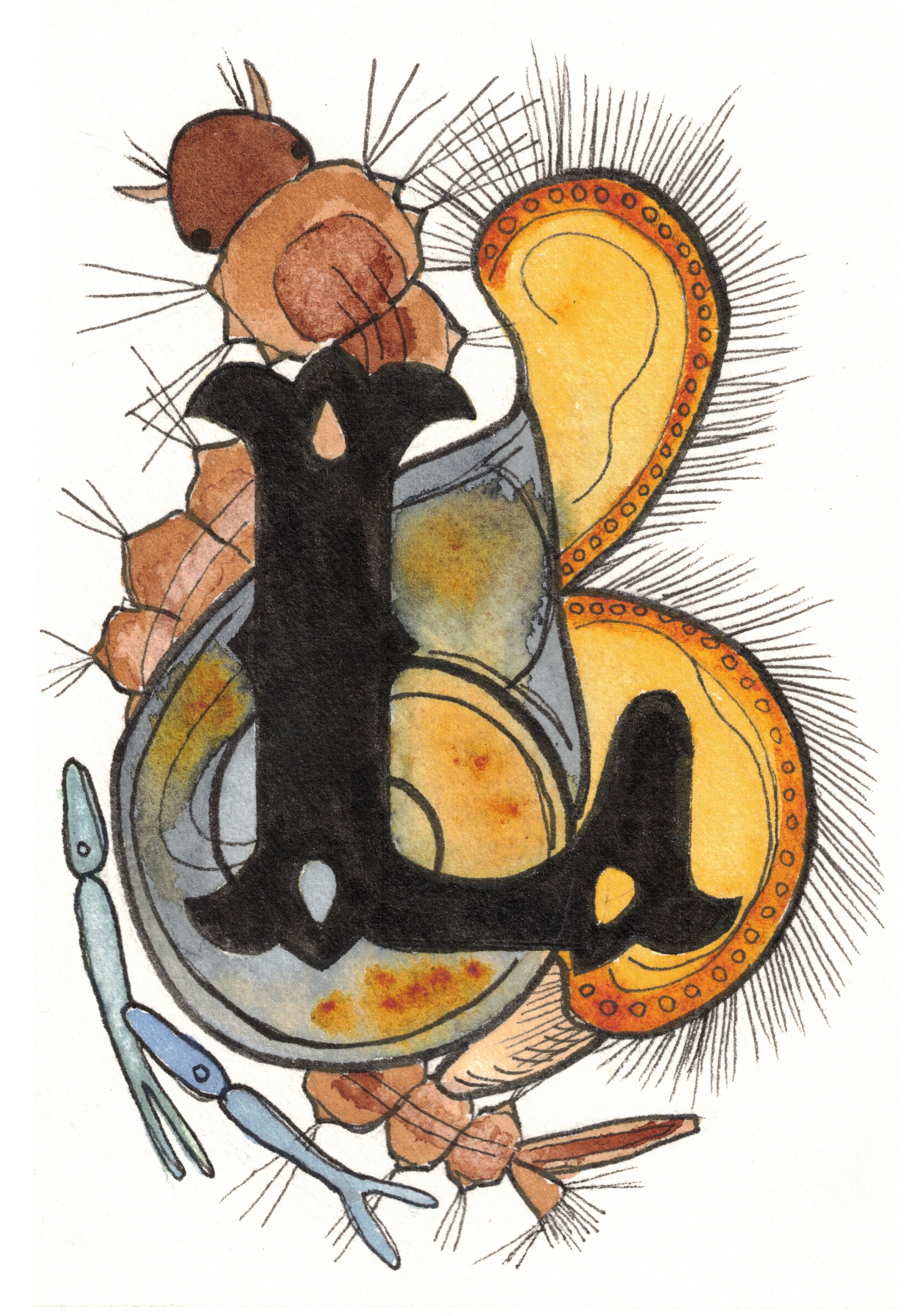 L is for Larva