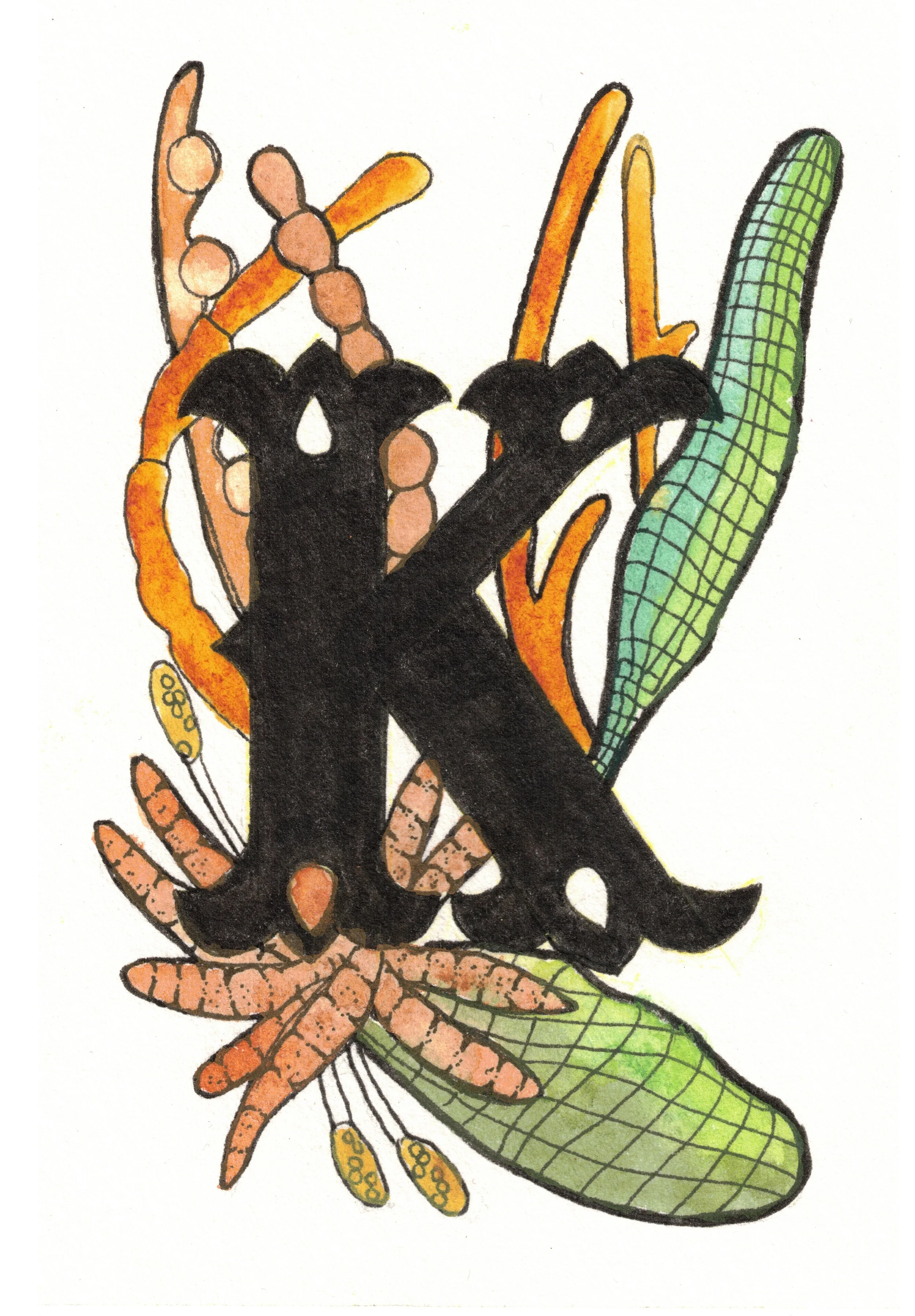 K is for Kelp