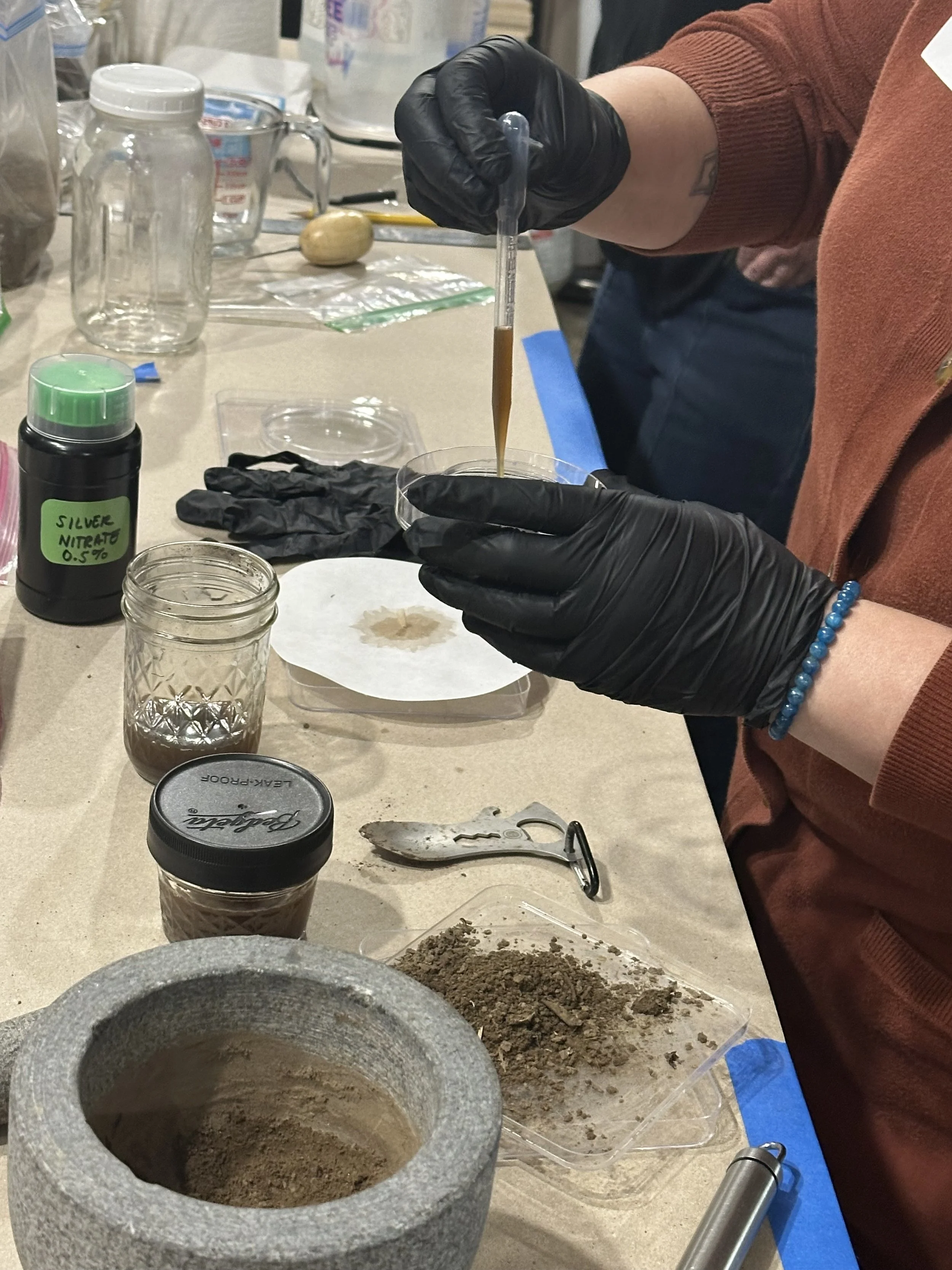 Sci-Art Workshops