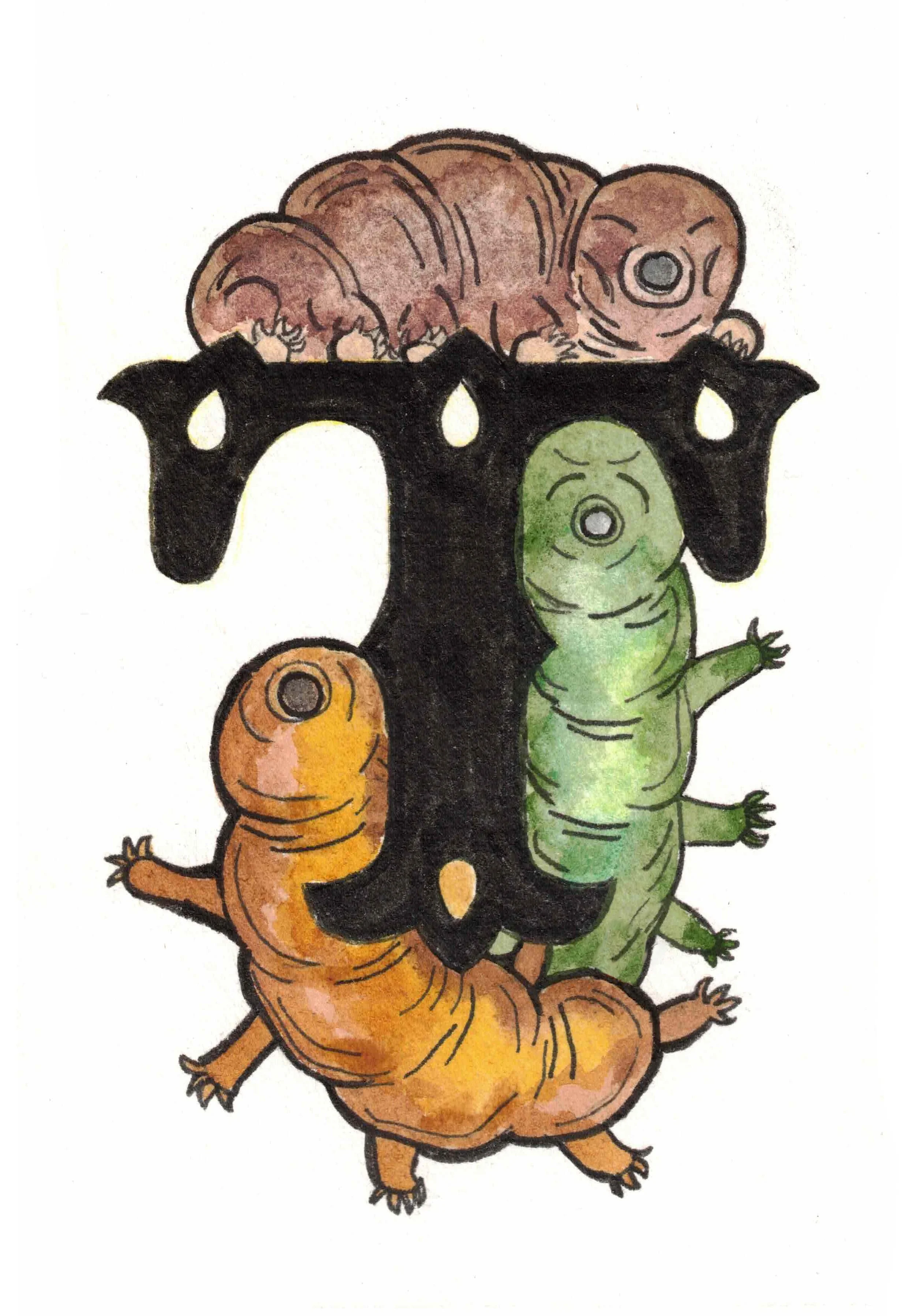 T is for Tardigrade