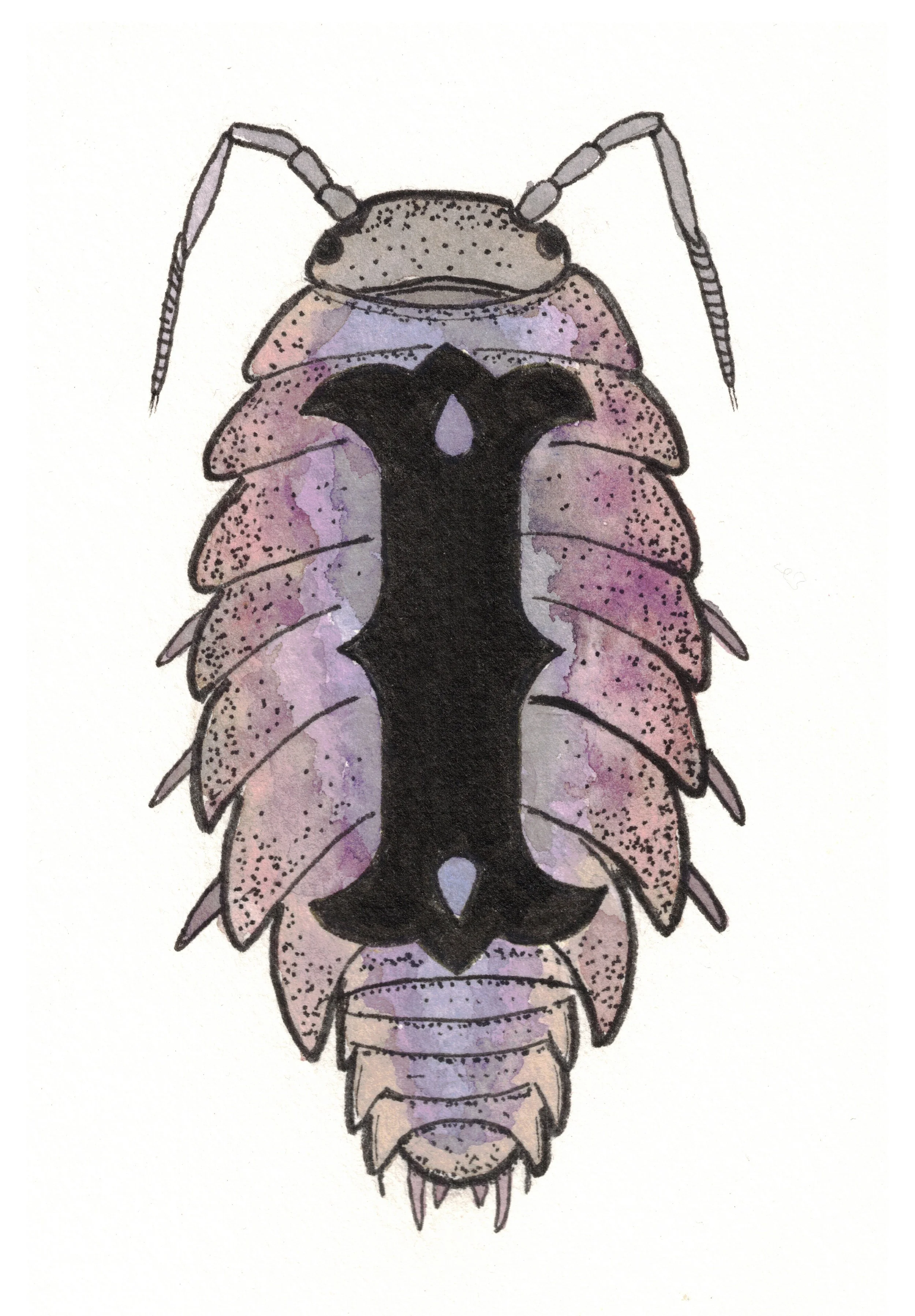 I is for Isopod