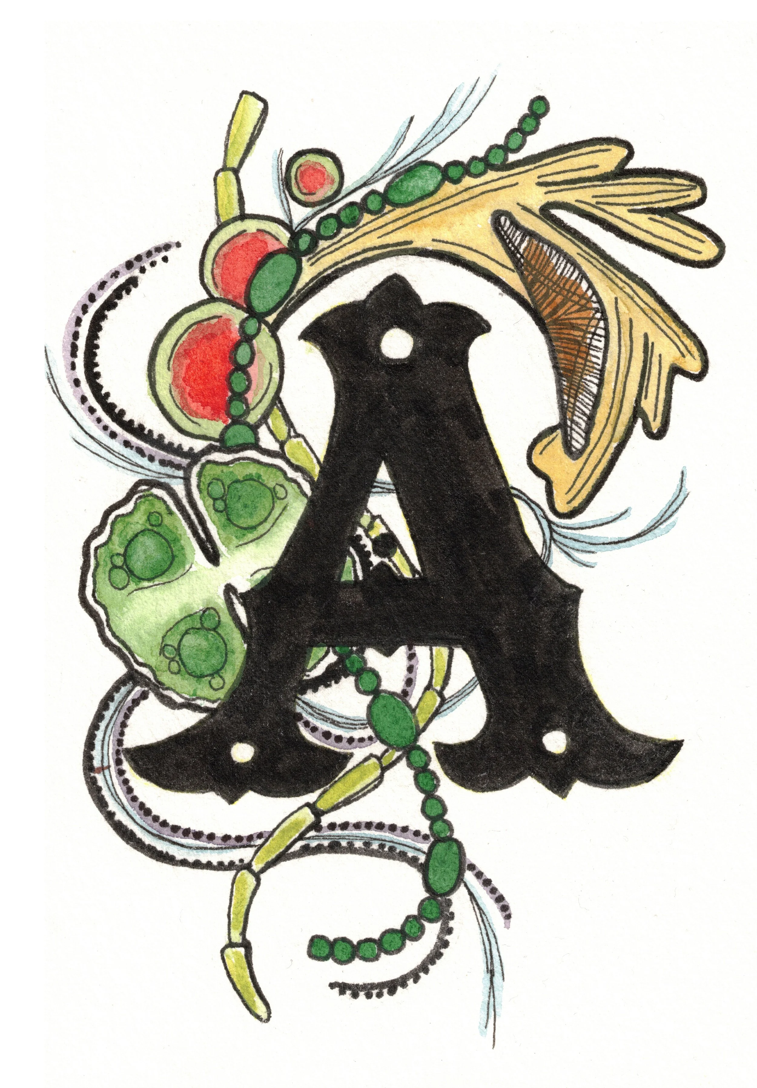 A is for Algae