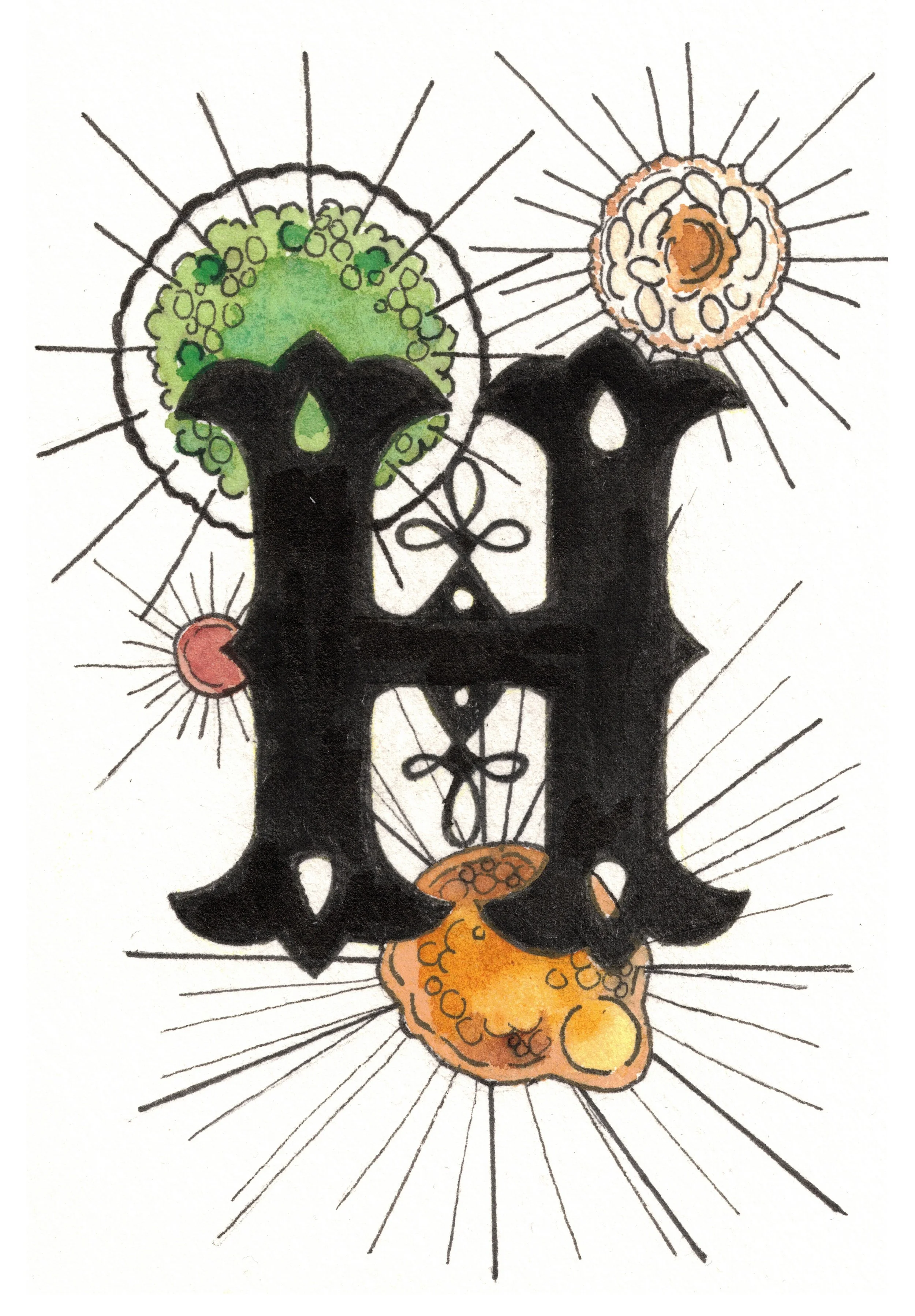 H is for Heliozoa
