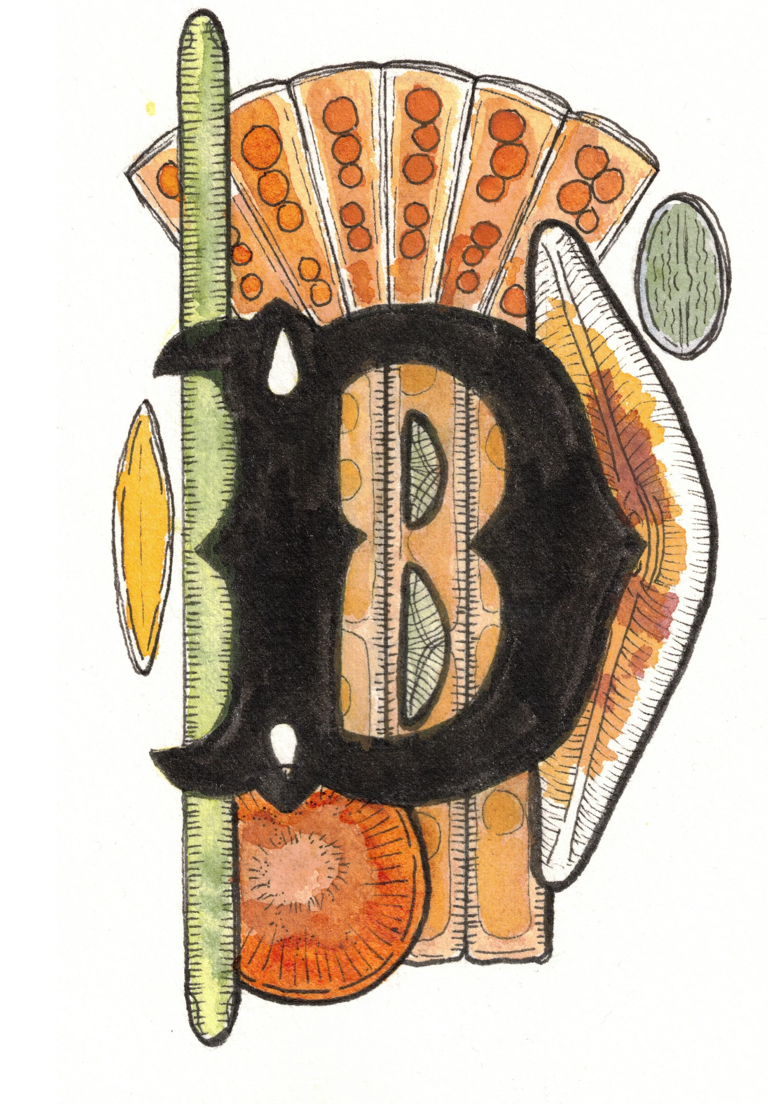 D is for Diatom