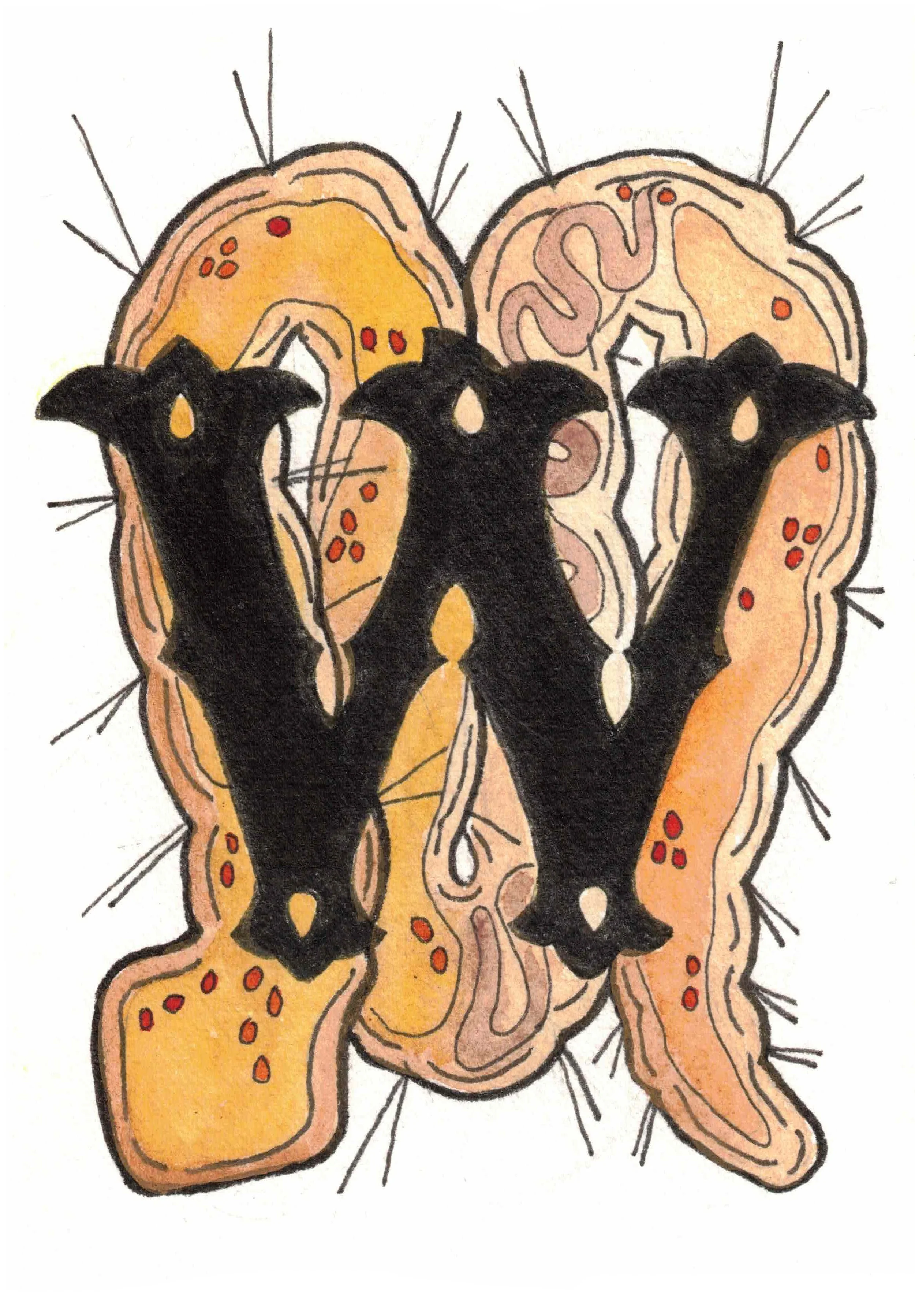 W is for Worm
