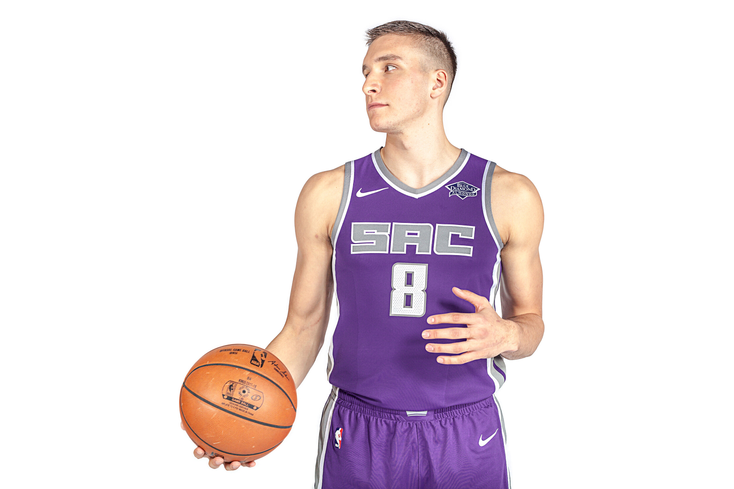 Bogdanovic4.jpg