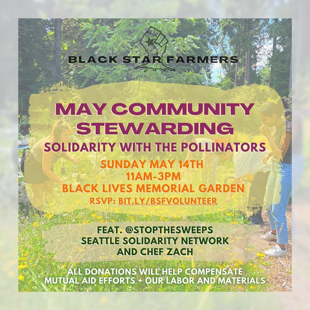 Join us on Sunday, May 14th from 11AM-3PM at the Black Lives Memorial Garden. We will share the political context of our collective and the garden, discuss the concept of solidarity, learn about pollinators and their ecological significance, and work