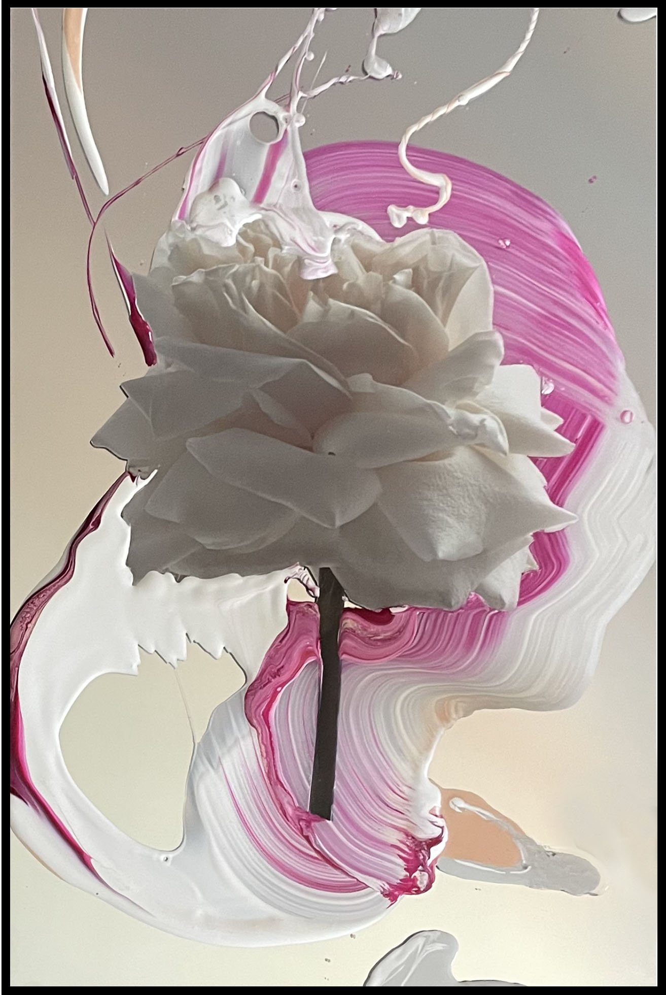 Magenta.jpeg
