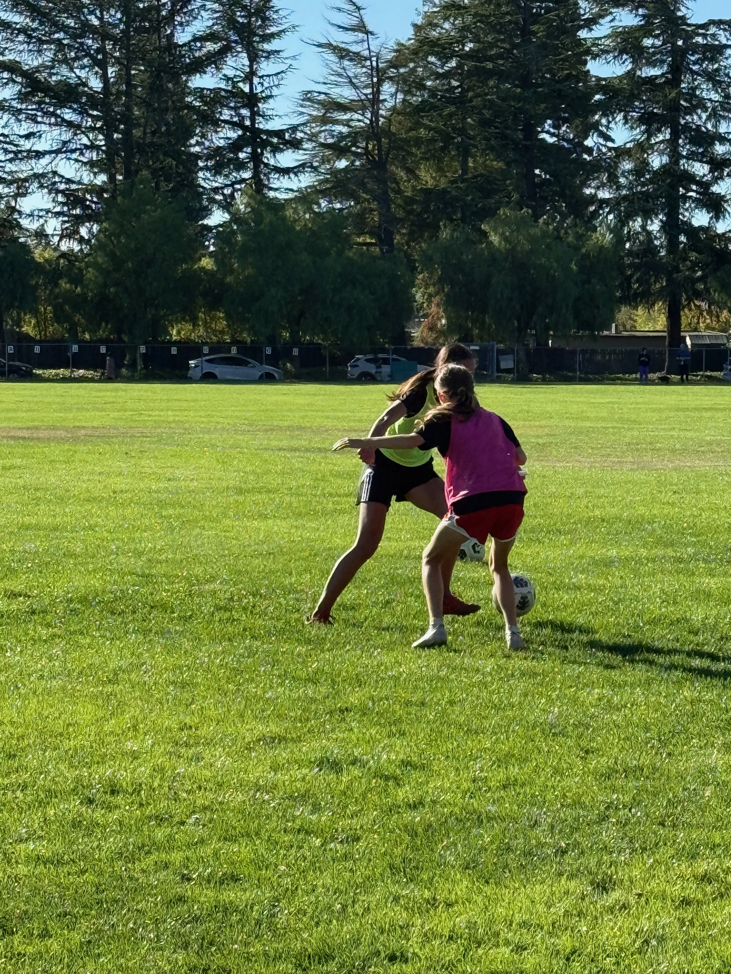 IMG_0303.jpeg (Copy)